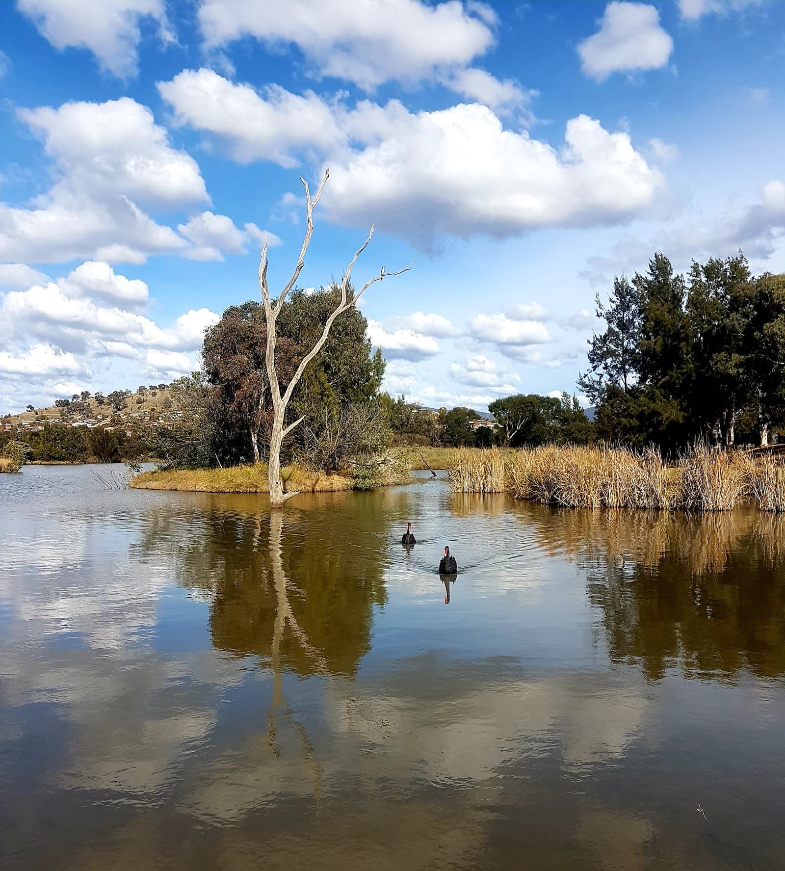 Point Hut Pond District Park — Tuggeranong, Canberra
