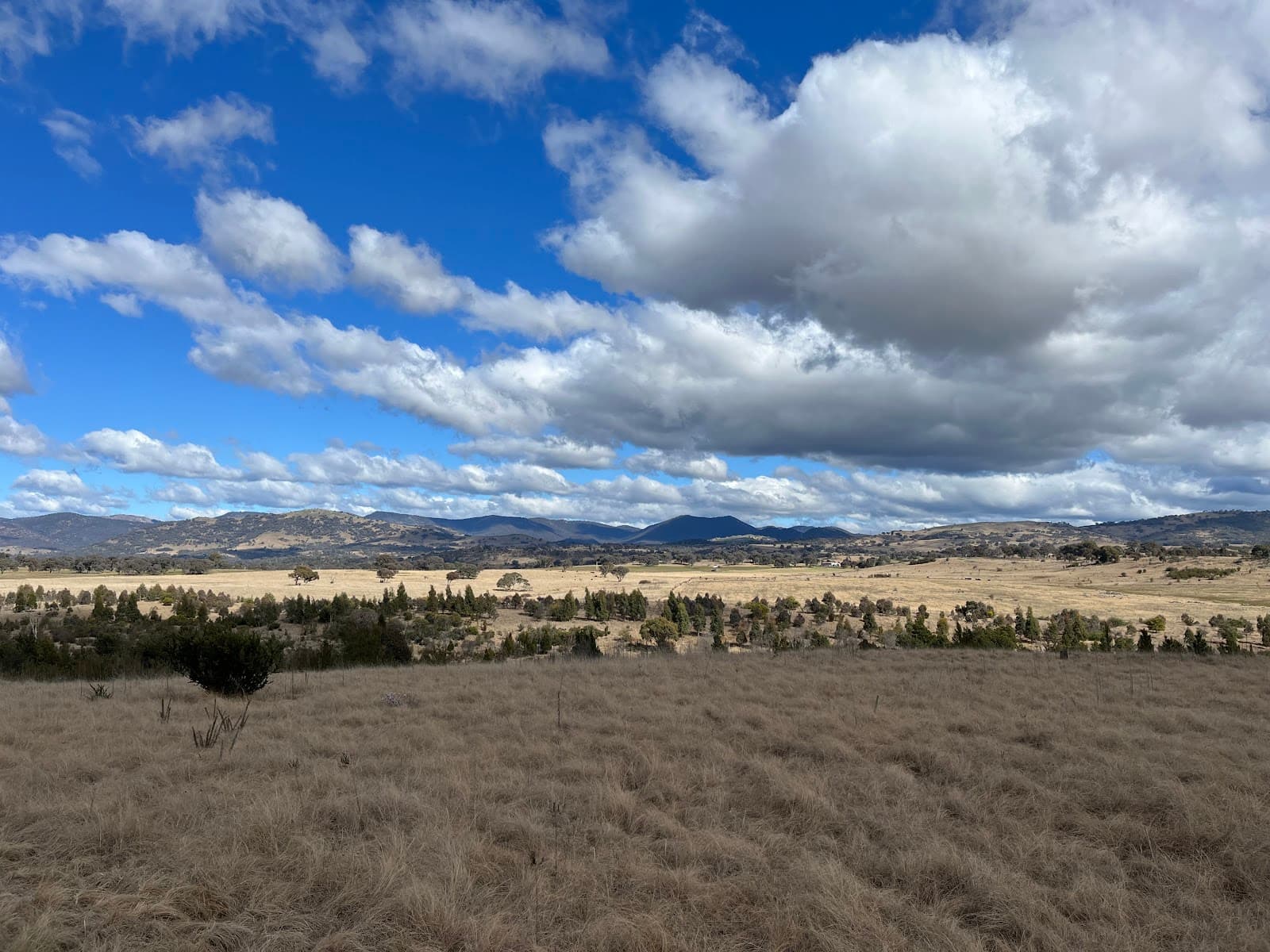 Pine Island Reserve — Tuggeranong, Canberra