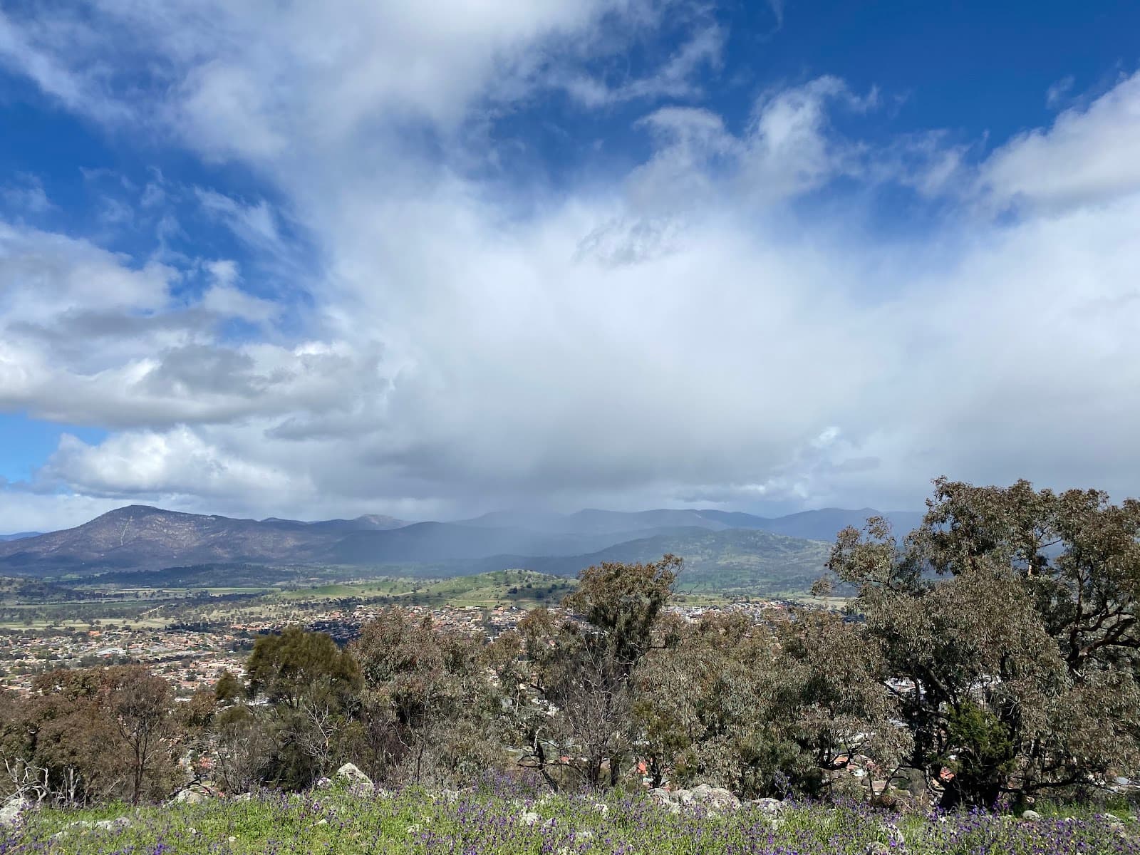 Tuggeranong Hill Nature Reserve — Tuggeranong, Canberra