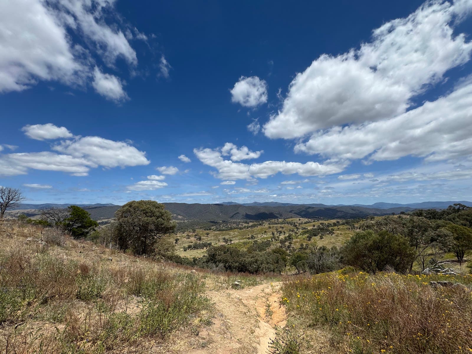 Urambi Hills Nature Reserve — Tuggeranong, Canberra