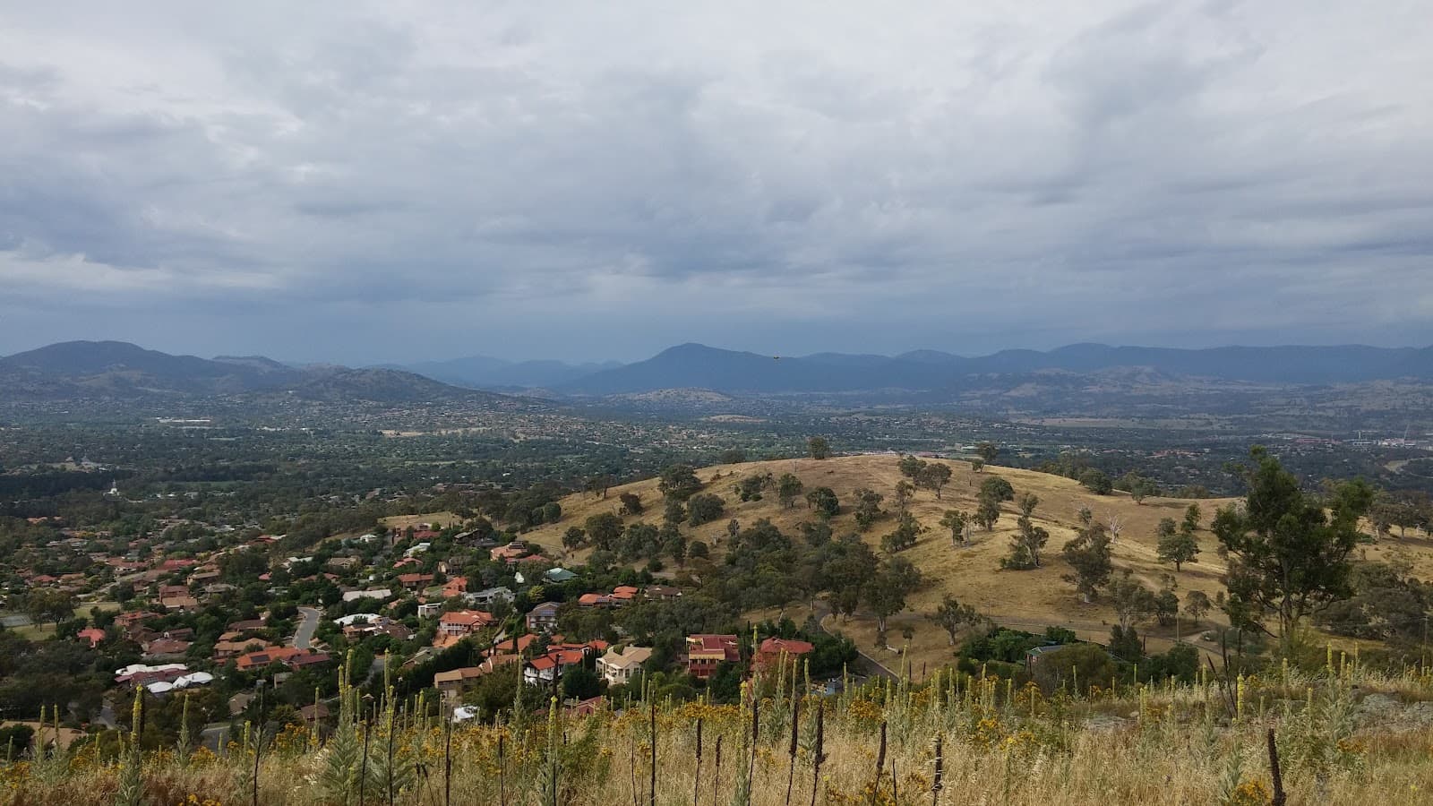 Wanniassa Hills Nature Reserve — Tuggeranong, Canberra