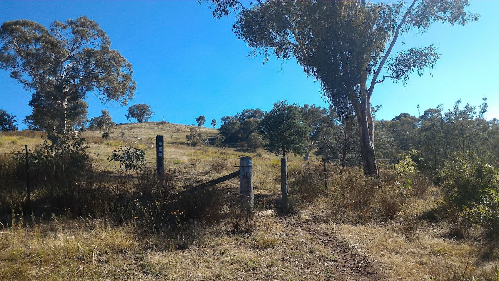 Wanniassa Hills Nature Reserve — Tuggeranong, Canberra