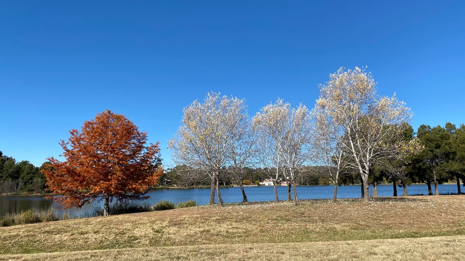 Lake Shores Playground — Tuggeranong, Canberra