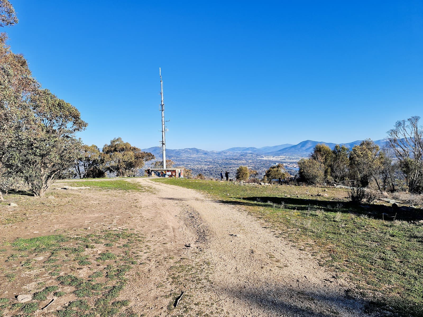 Mount Taylor Nature Reserve — Civic, Canberra