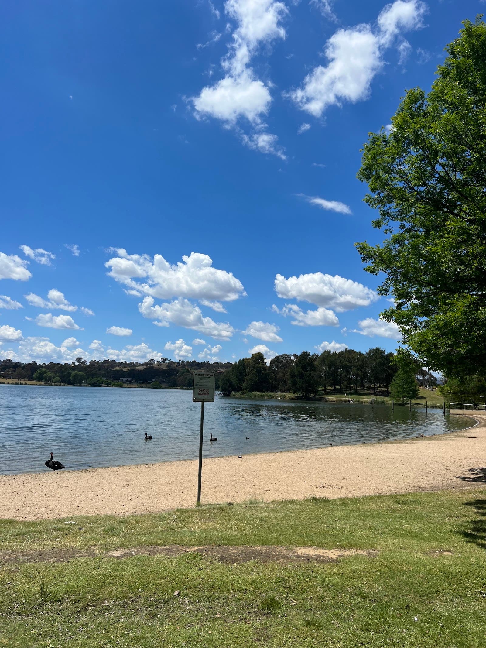 Tuggeranong Town Park Beach — Tuggeranong, Canberra