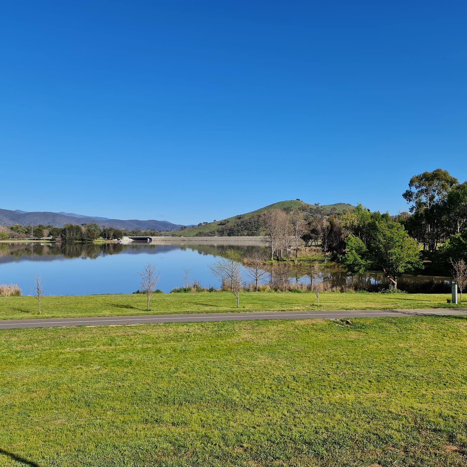 Greenway Dog Park — Tuggeranong, Canberra