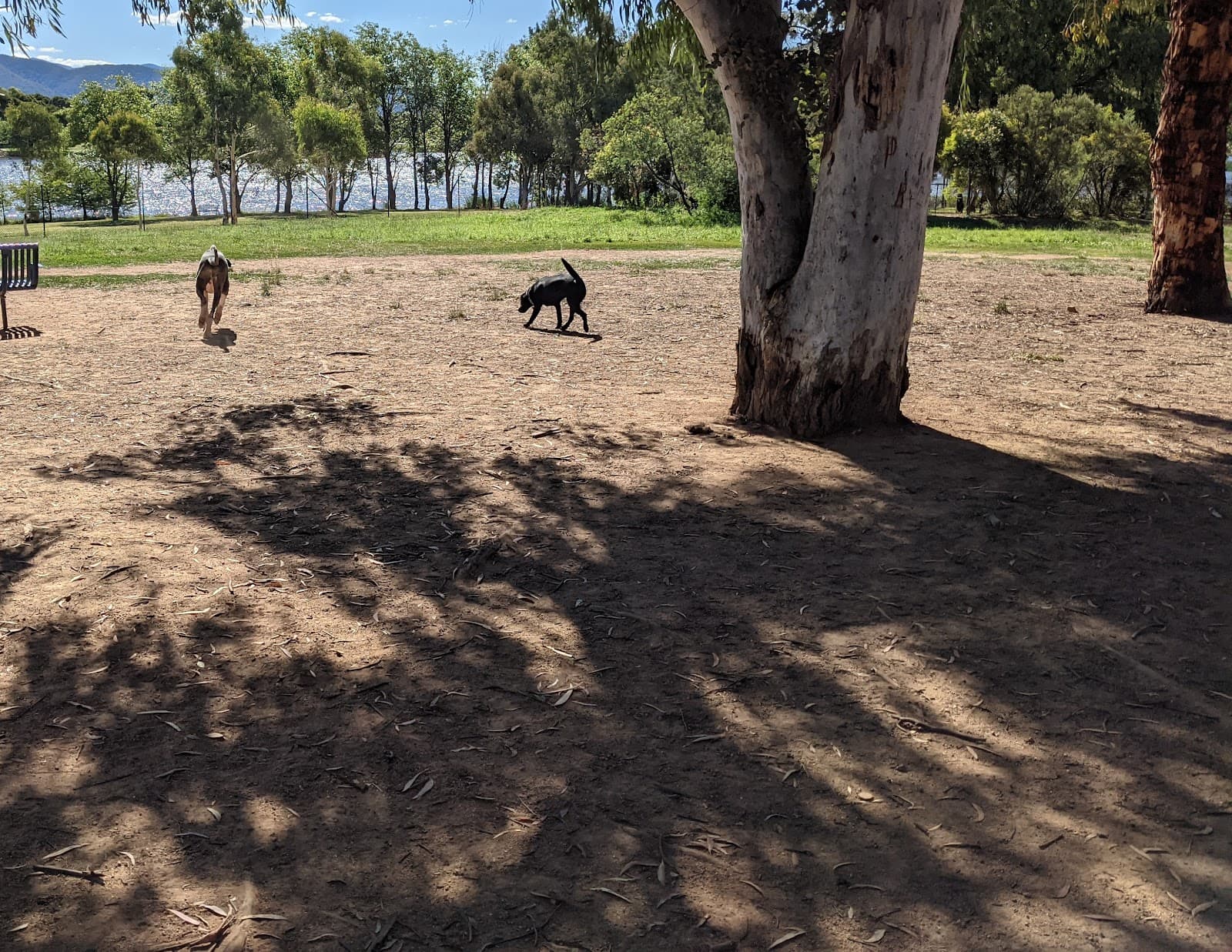 Greenway Dog Park — Tuggeranong, Canberra