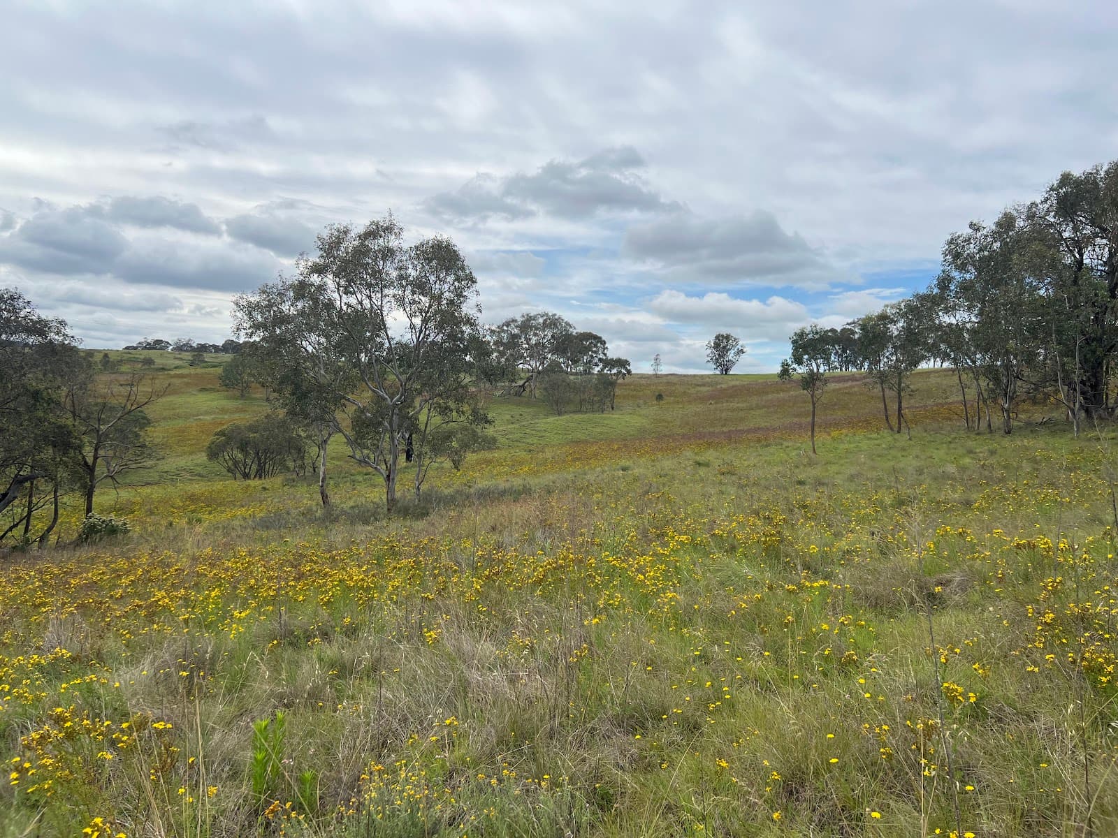 Bullen Range Nature Reserve — Tuggeranong, Canberra