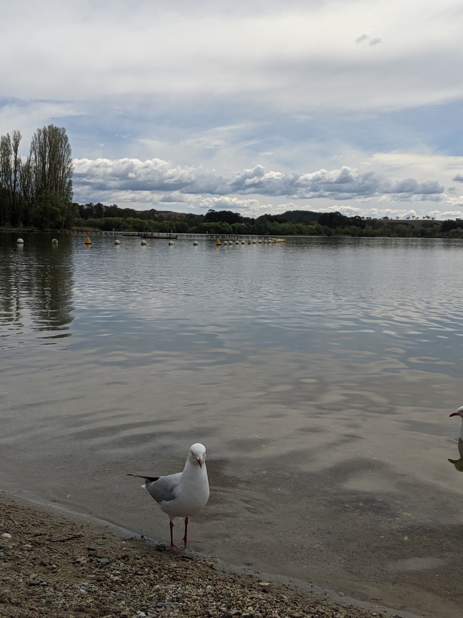 Yarralumla Beach — Gungahlin, Canberra