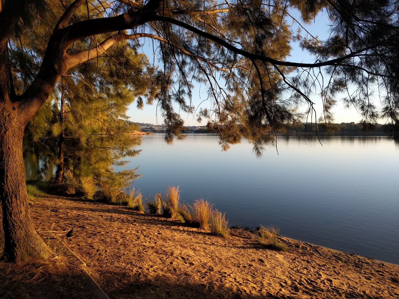 Dulwa Beach — Gungahlin, Canberra