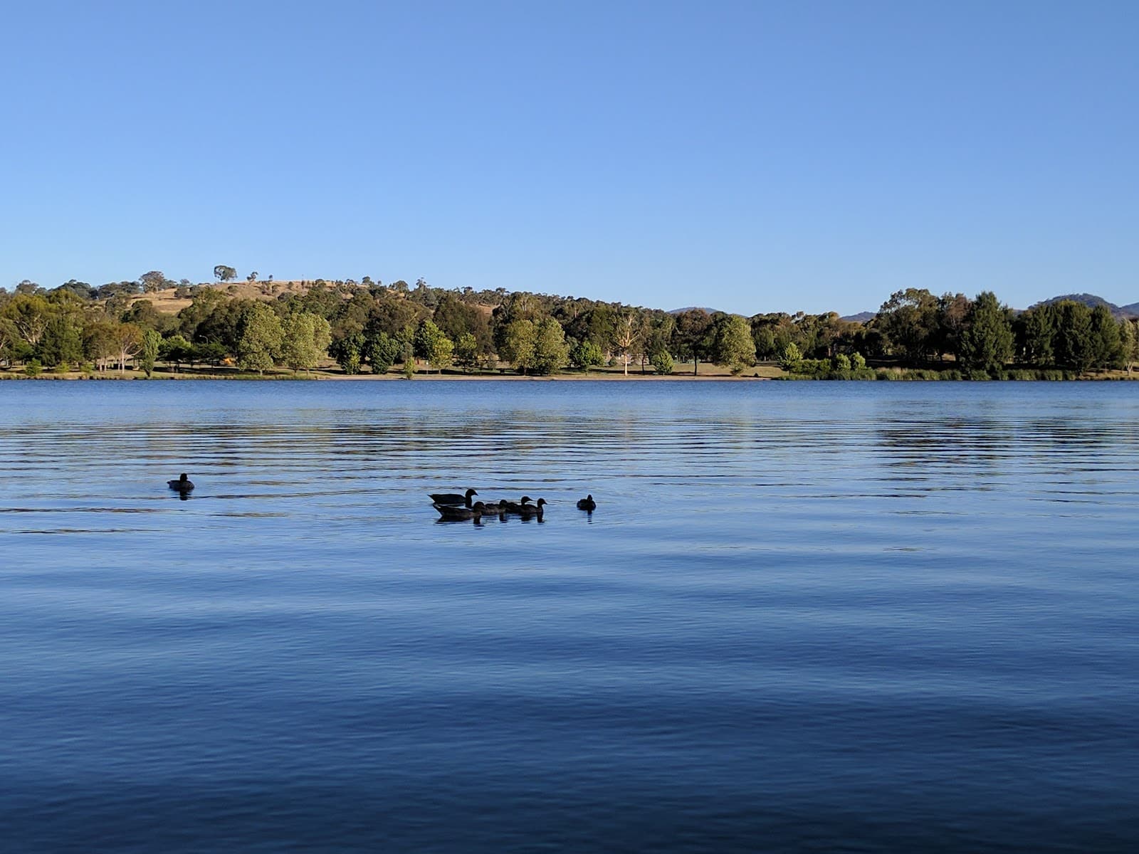 Ngadyung Beach — Gungahlin, Canberra