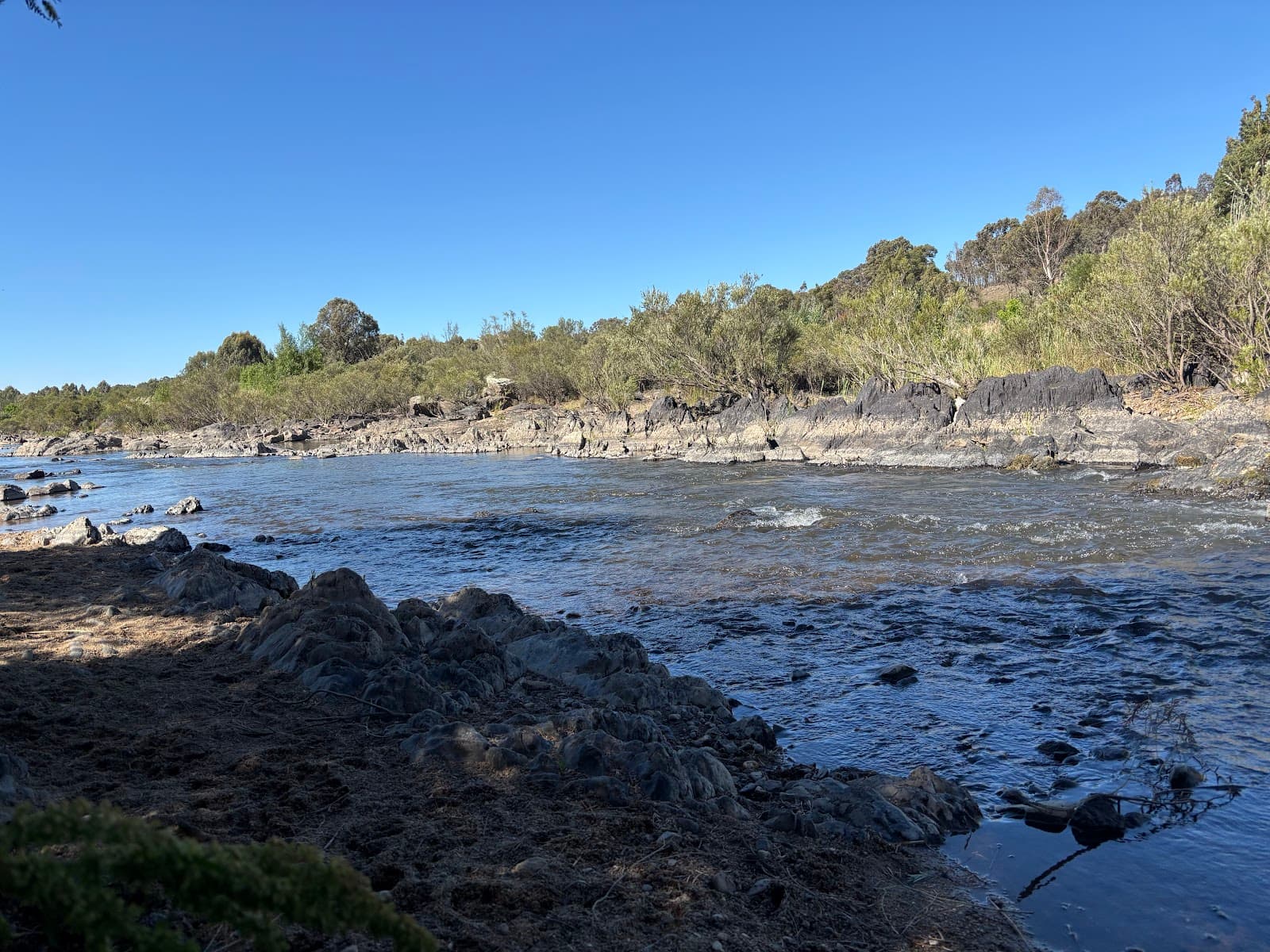 Dog Beach: Point Hut West (offlead) — Woden, Canberra