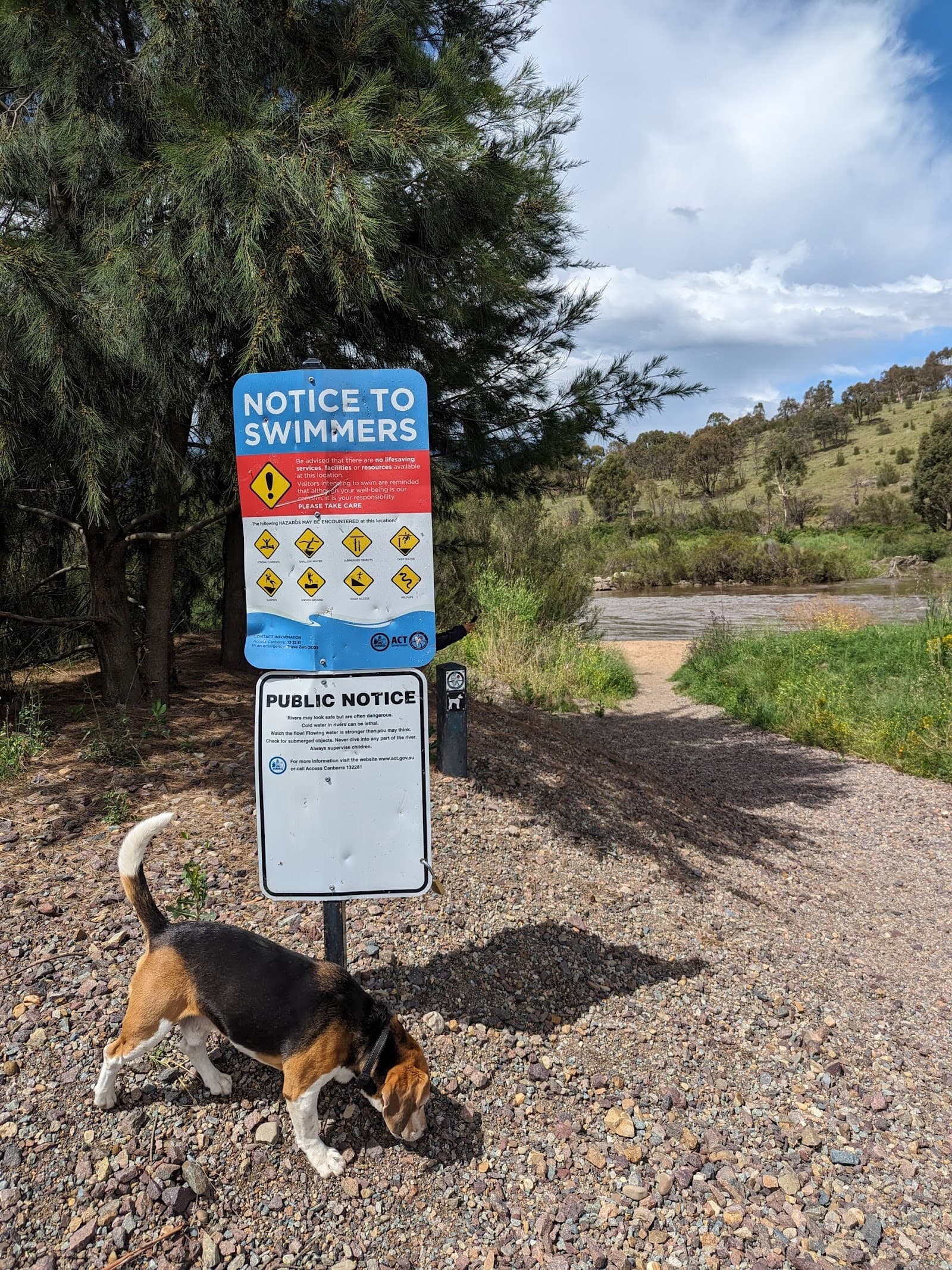 Dog Beach: Point Hut West (offlead) — Woden, Canberra