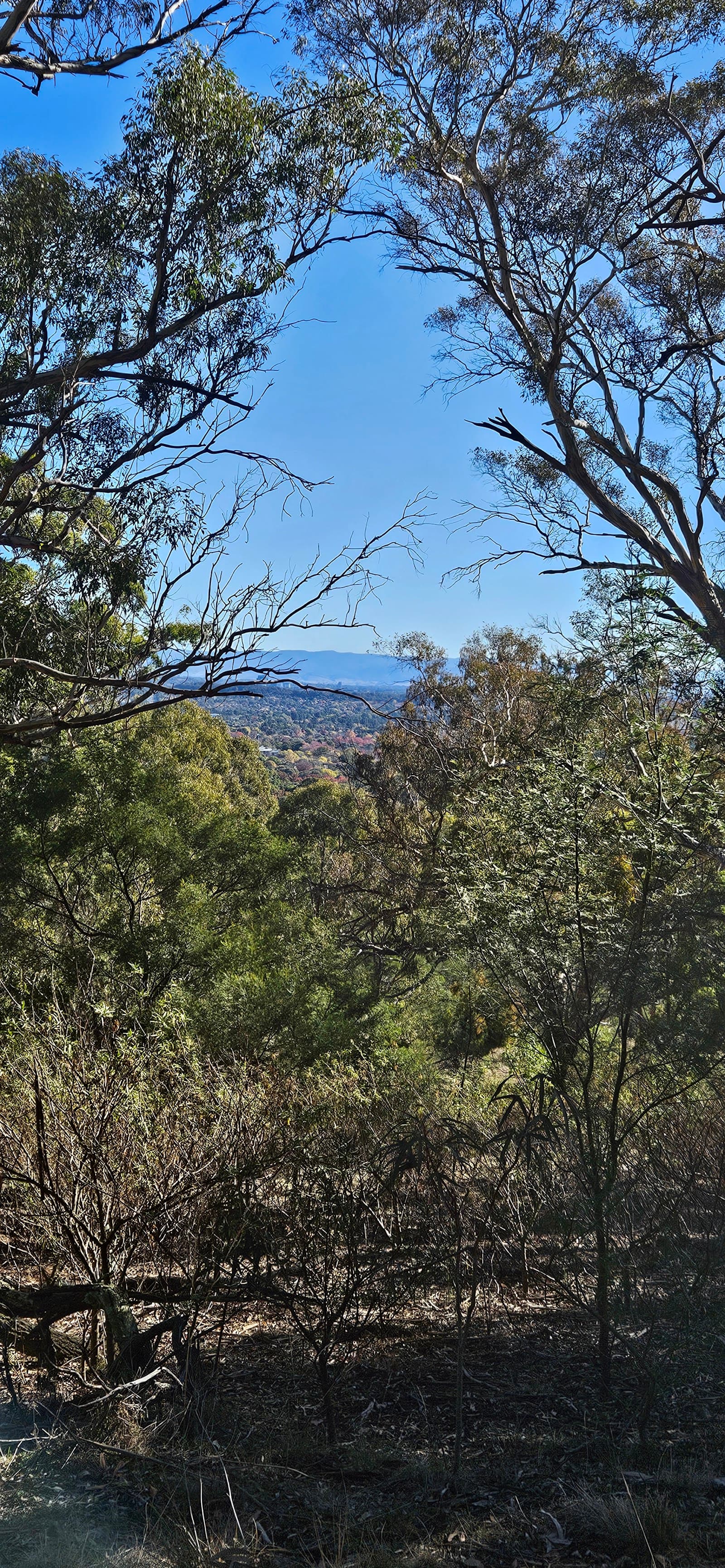 Canberra Centenary Trail — Barton, Canberra