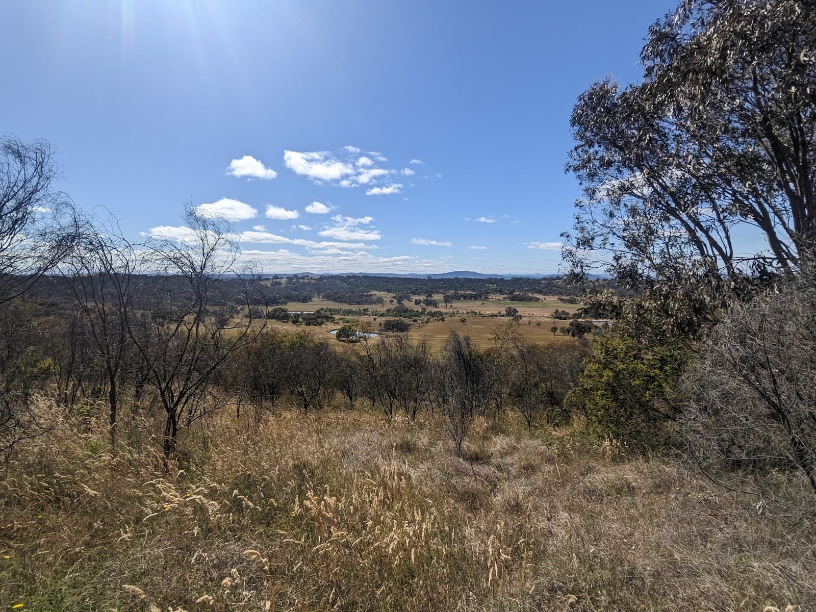 One Tree Hill Trail — Woden, Canberra
