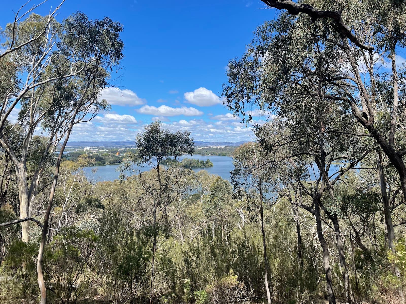 Bushland Nature Walk — Fyshwick, Canberra