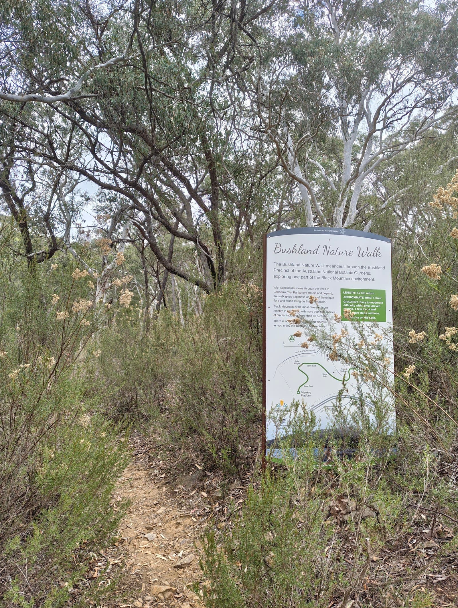 Bushland Nature Walk — Fyshwick, Canberra