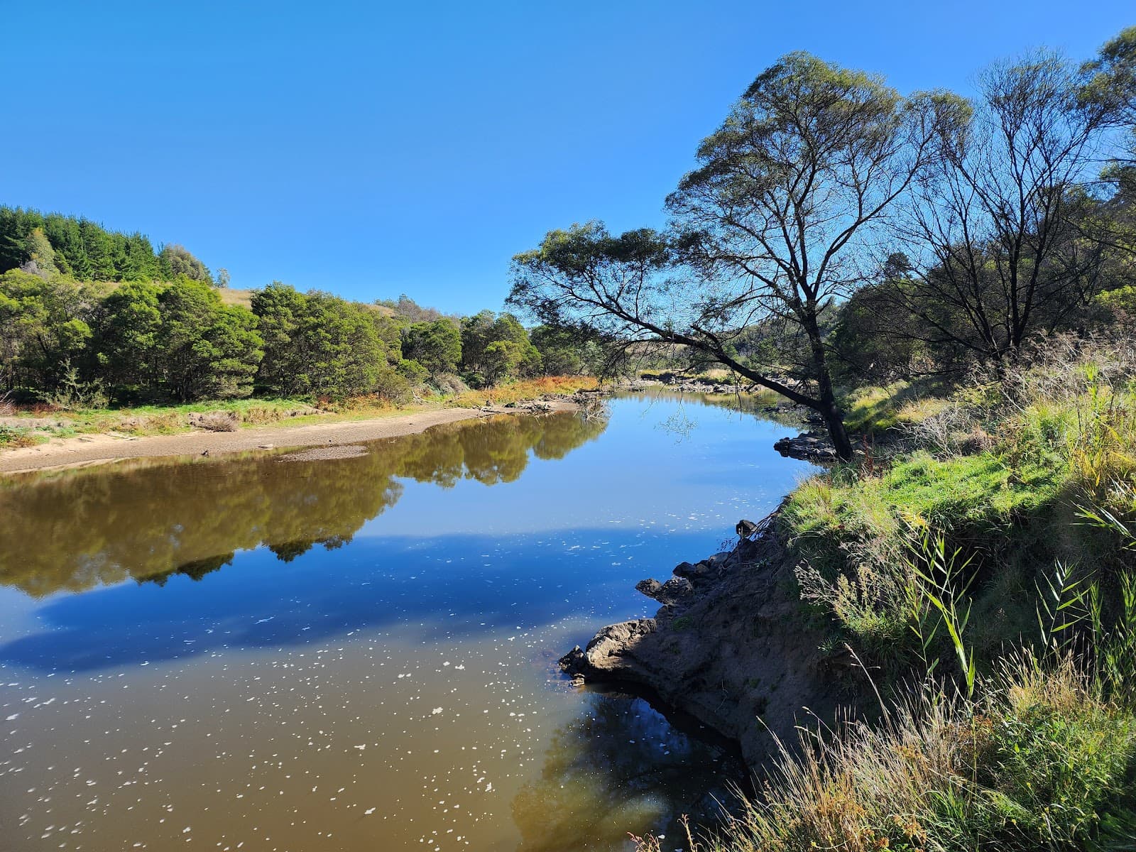 Molonglo River Reserve — Fyshwick, Canberra