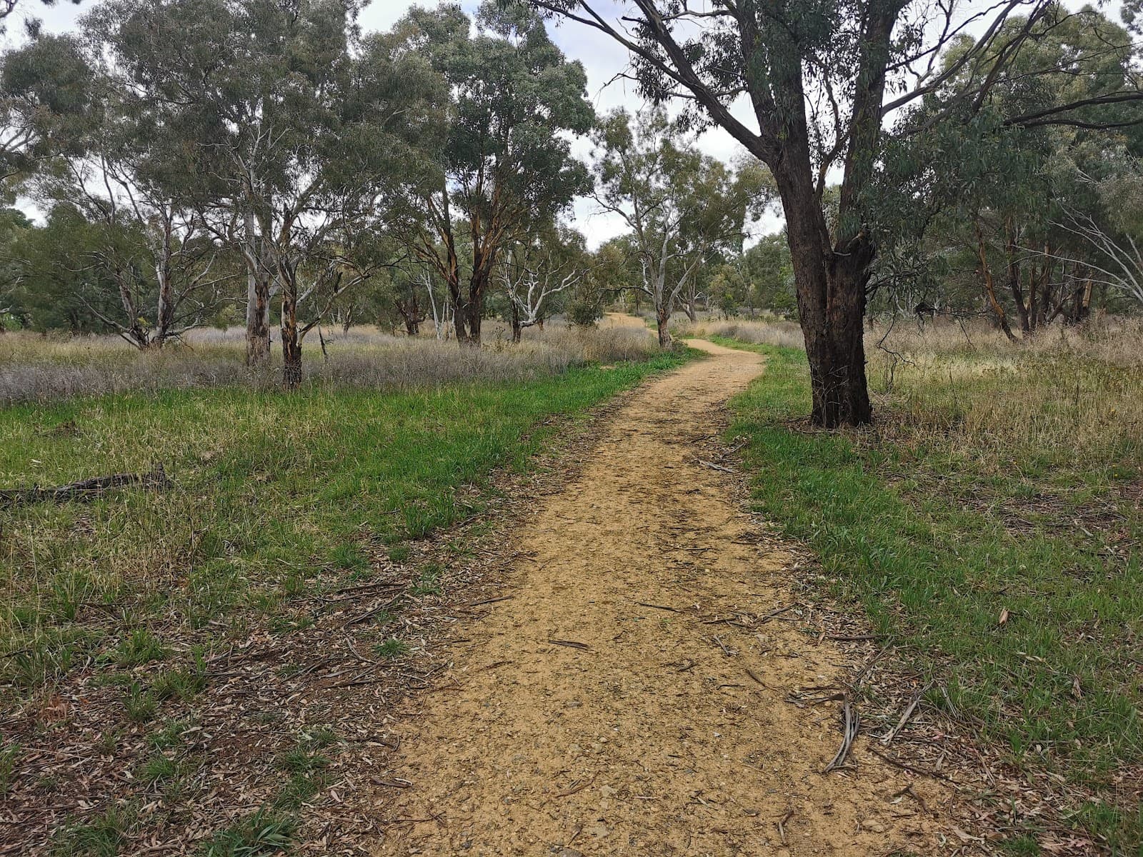 Canberra Nature Park, O'Connor Ridge — Gungahlin, Canberra