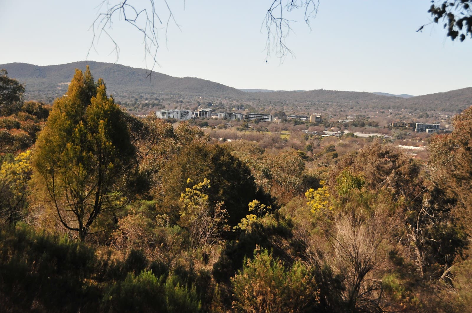 Canberra Nature Park, O'Connor Ridge — Gungahlin, Canberra