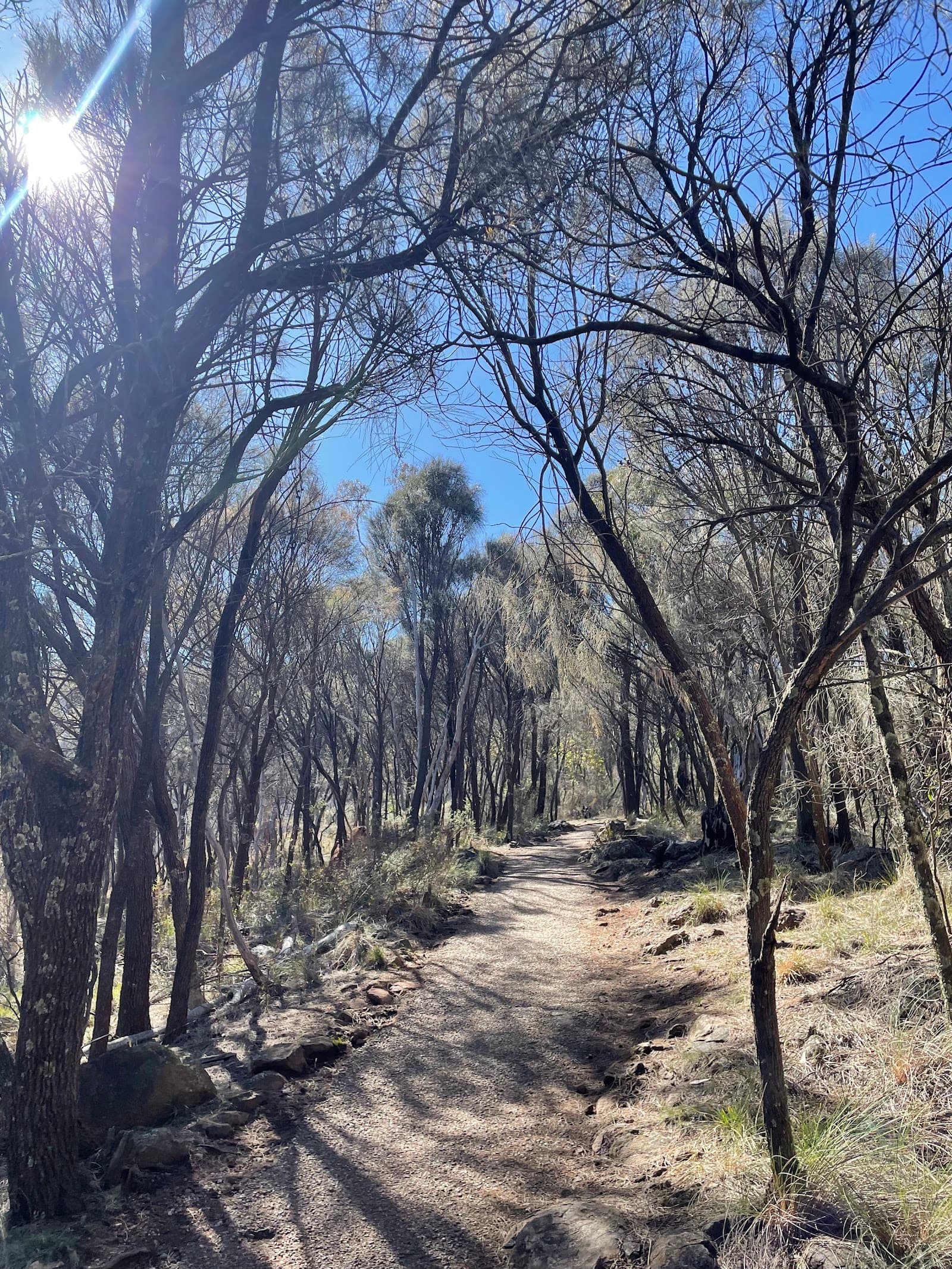 Mount Ainslie Kokoda Memorial Trail — Braddon, Canberra