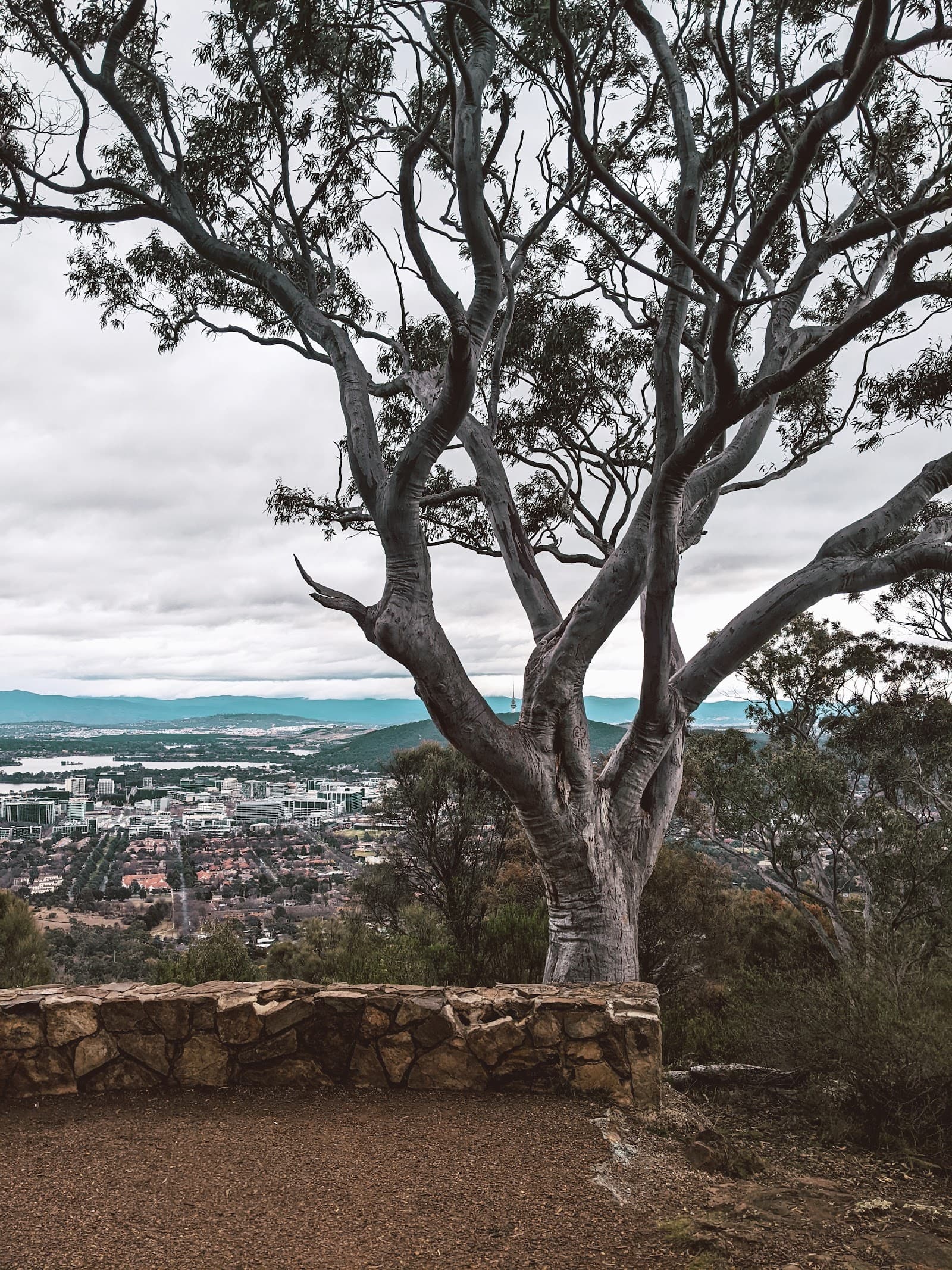 Mount Ainslie Kokoda Memorial Trail — Braddon, Canberra