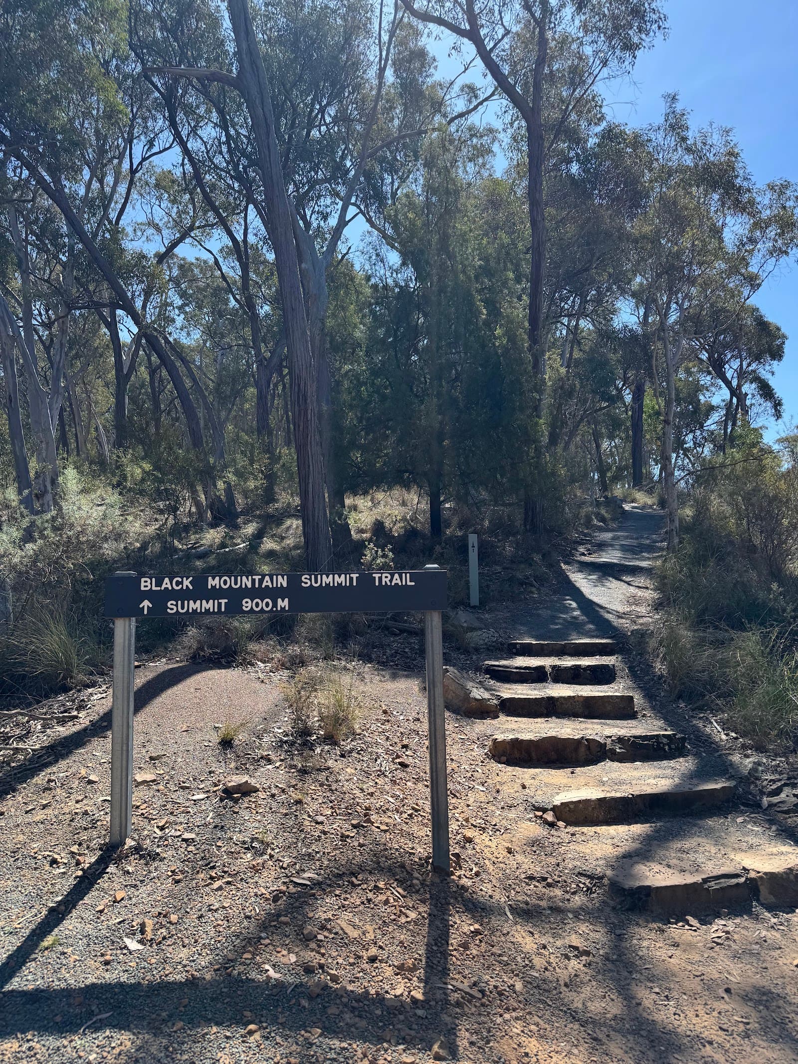 Canberra Tracks - Black Mountain Summit — Civic, Canberra