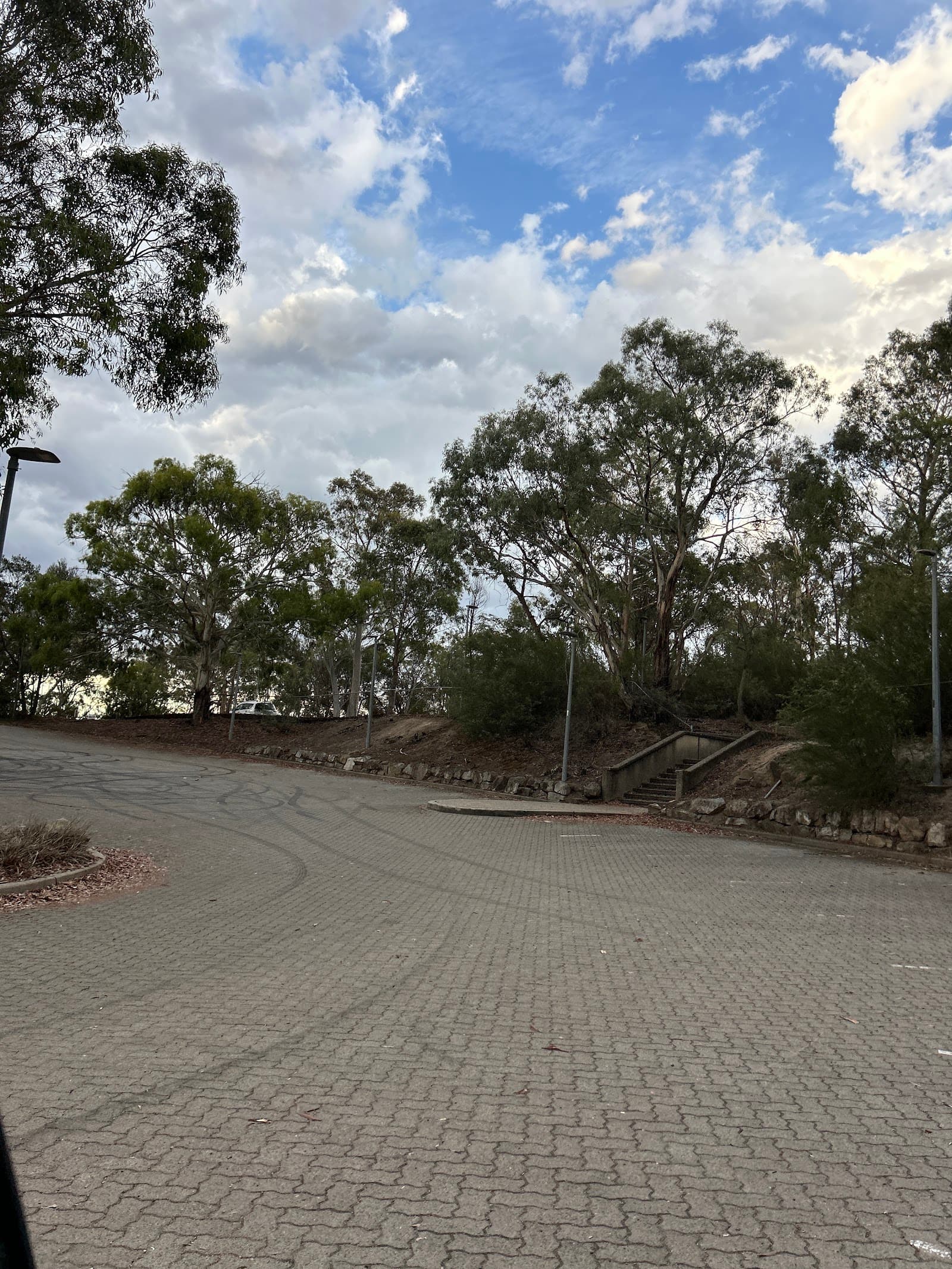 Canberra Tracks - Black Mountain Summit — Civic, Canberra