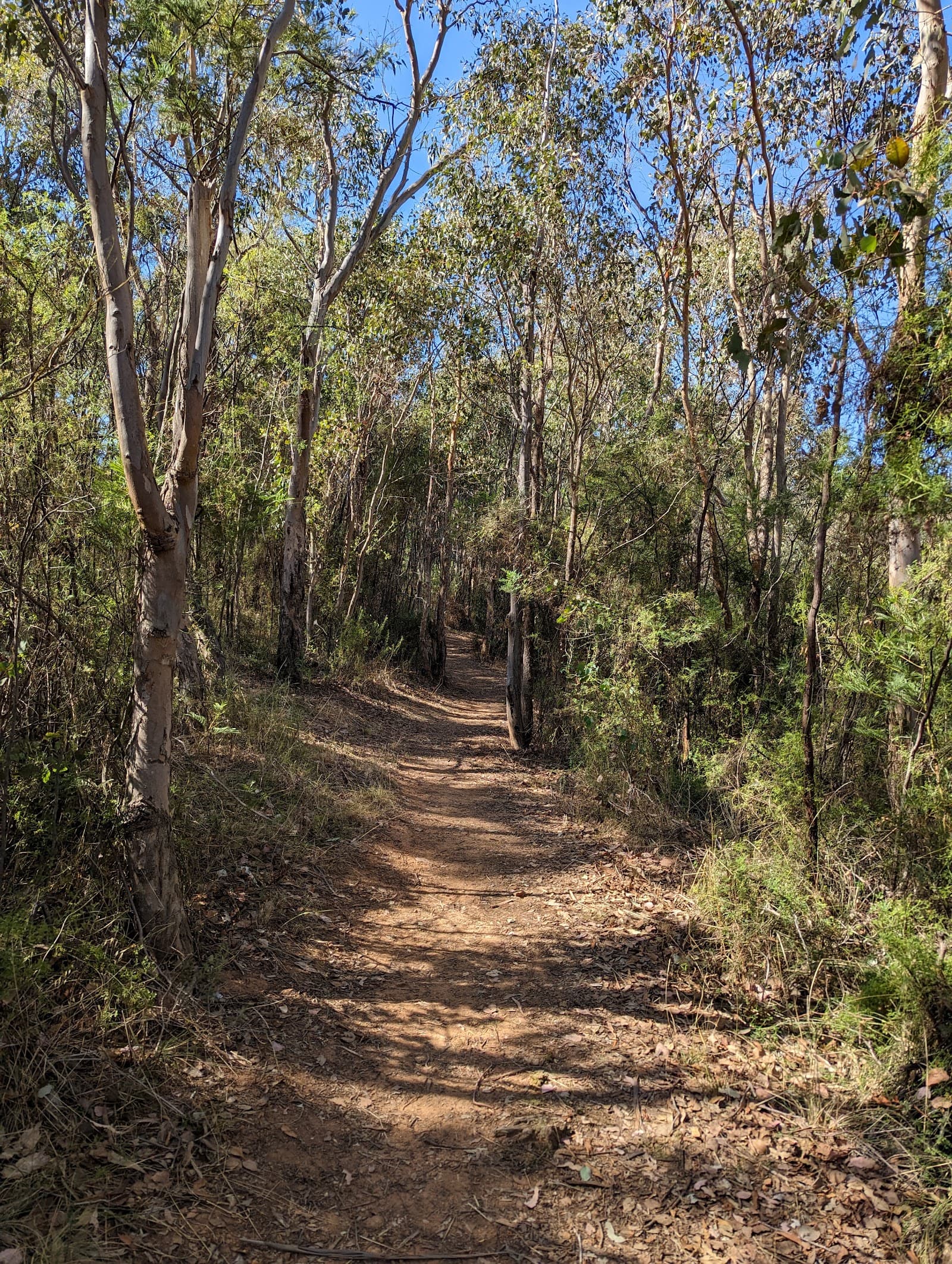 Shepherds Lookout — Gungahlin, Canberra