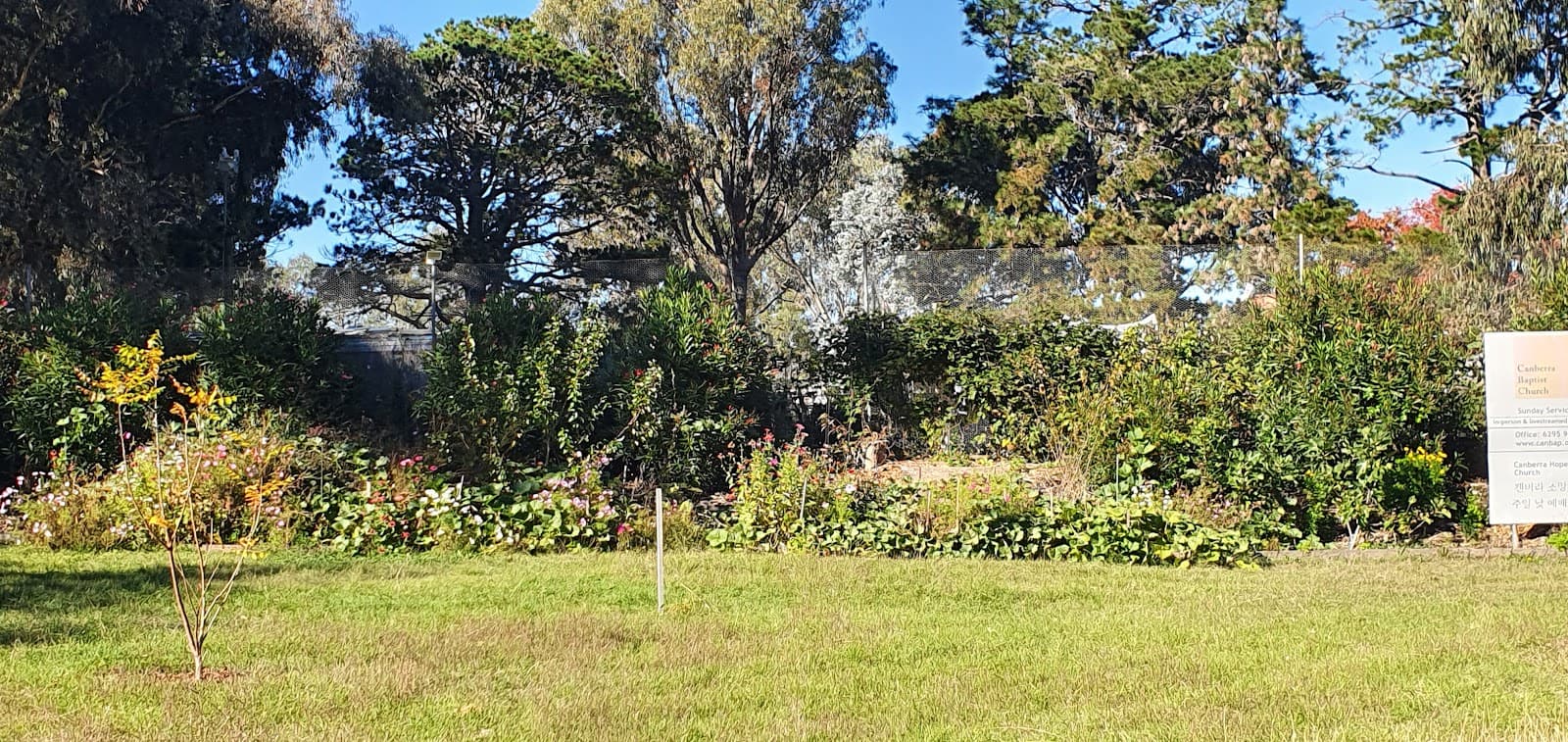 Kingston Organic Community Garden — Kingston, Canberra