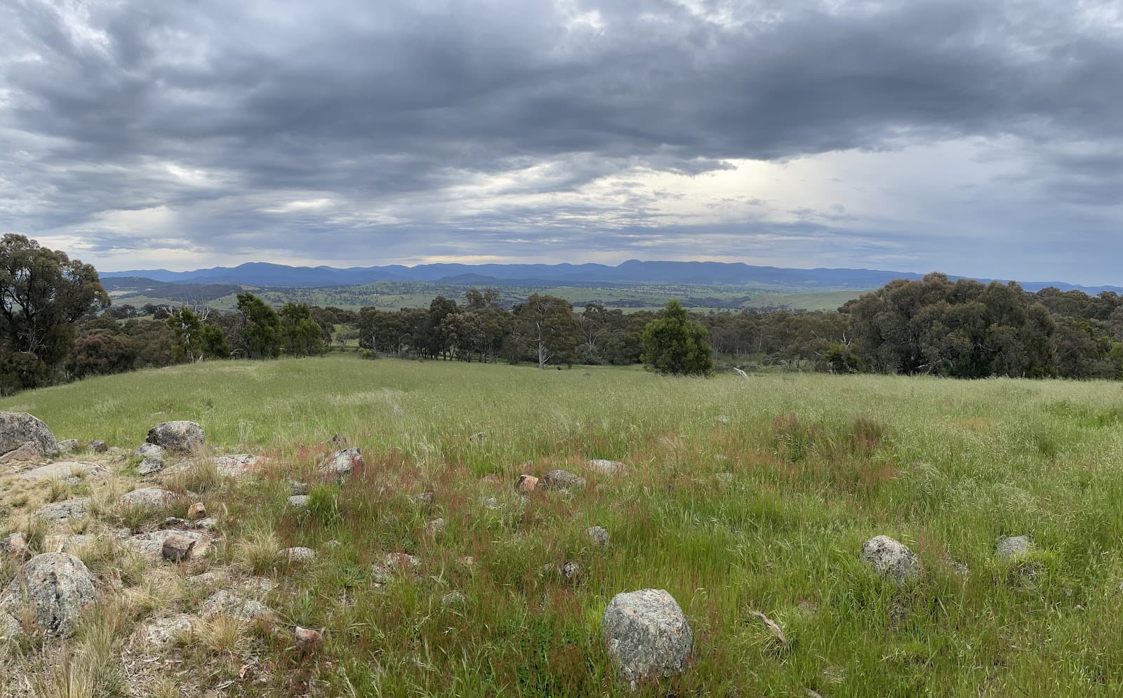The Pinnacle — Belconnen, Canberra