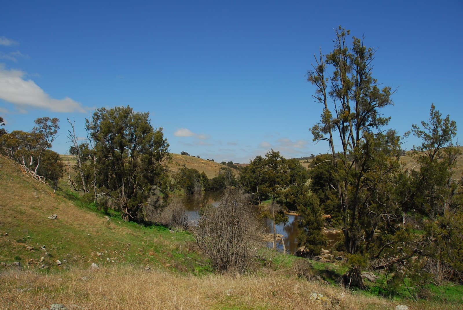 Kama Nature Reserve — Belconnen, Canberra