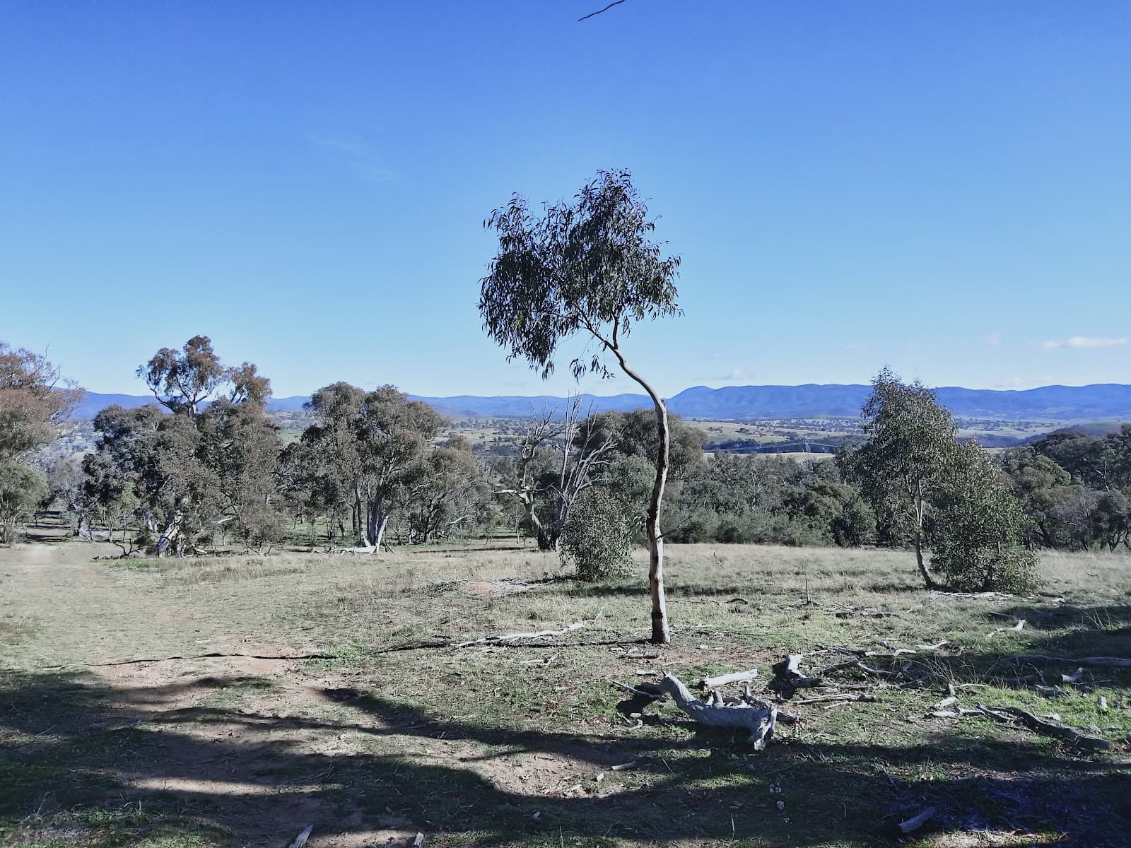 Kama Nature Reserve — Belconnen, Canberra