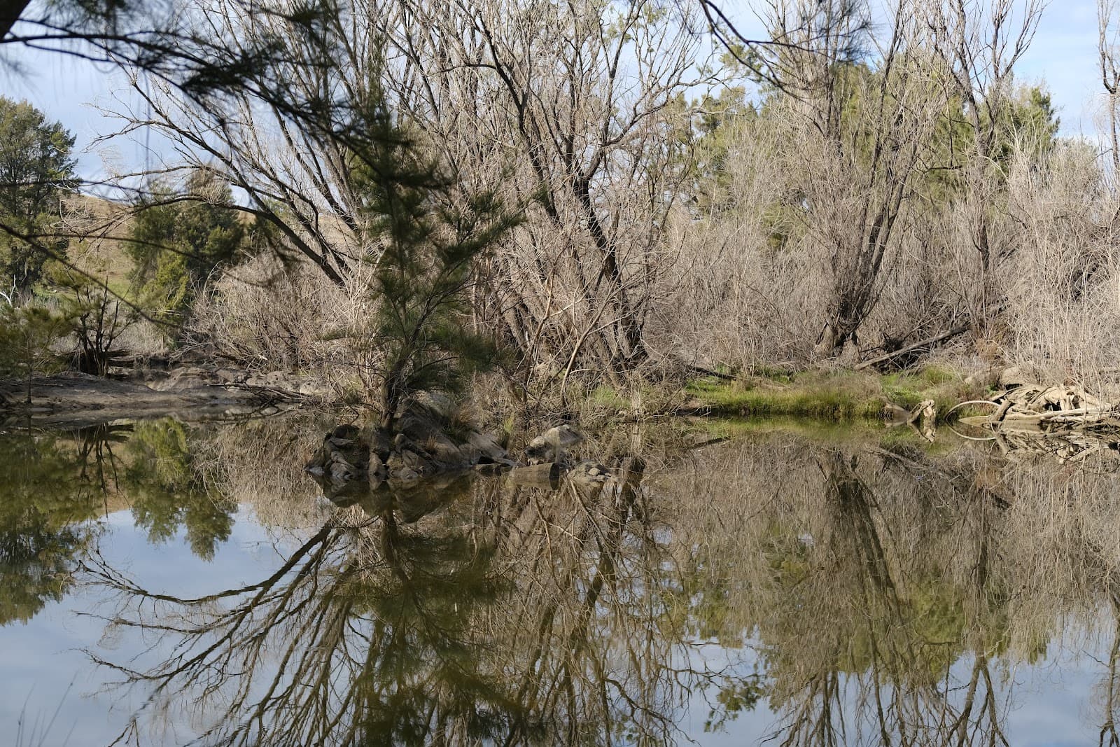 Kama Nature Reserve — Belconnen, Canberra