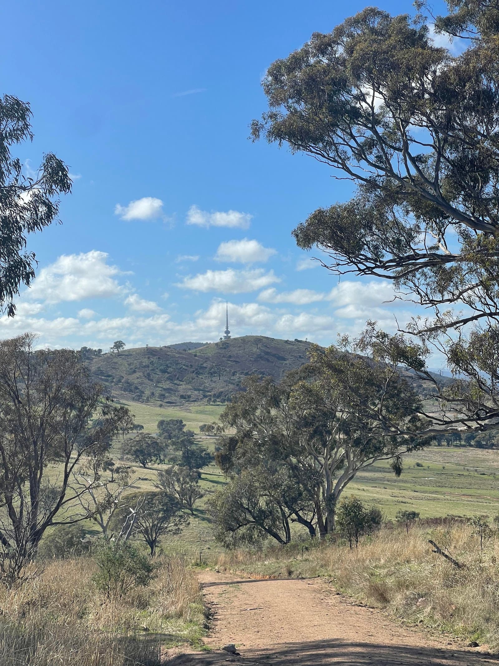 Pinnacle Central Track — Belconnen, Canberra