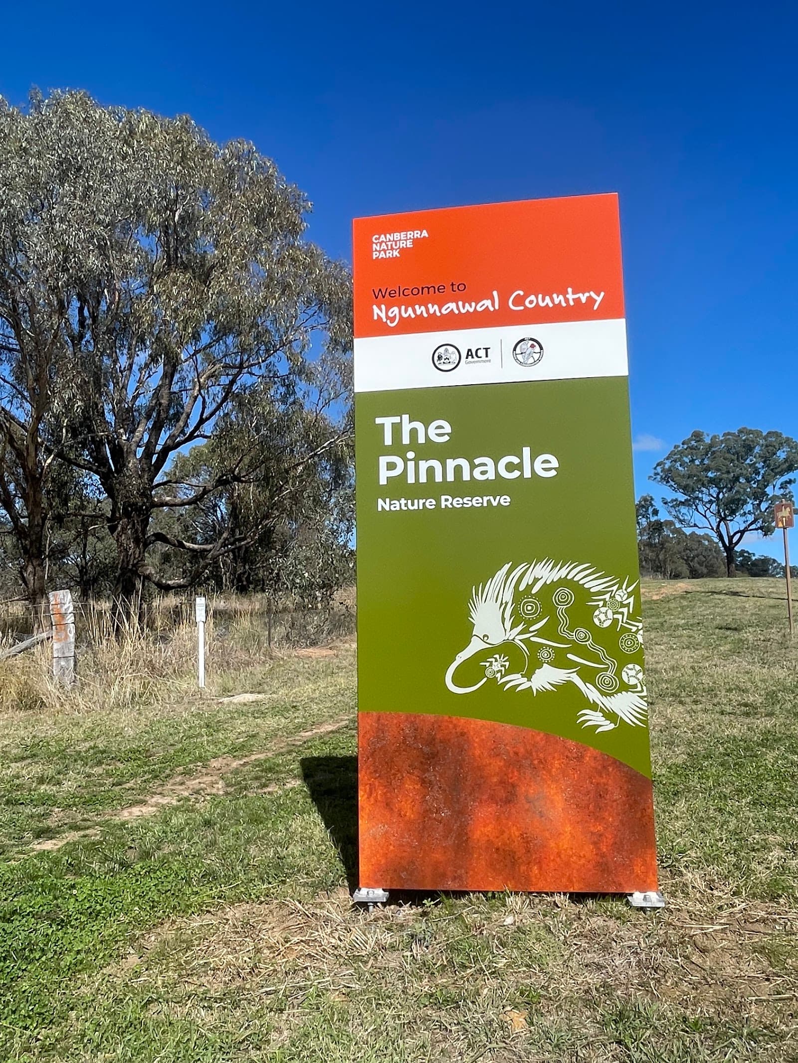 Pinnacle Central Track — Belconnen, Canberra