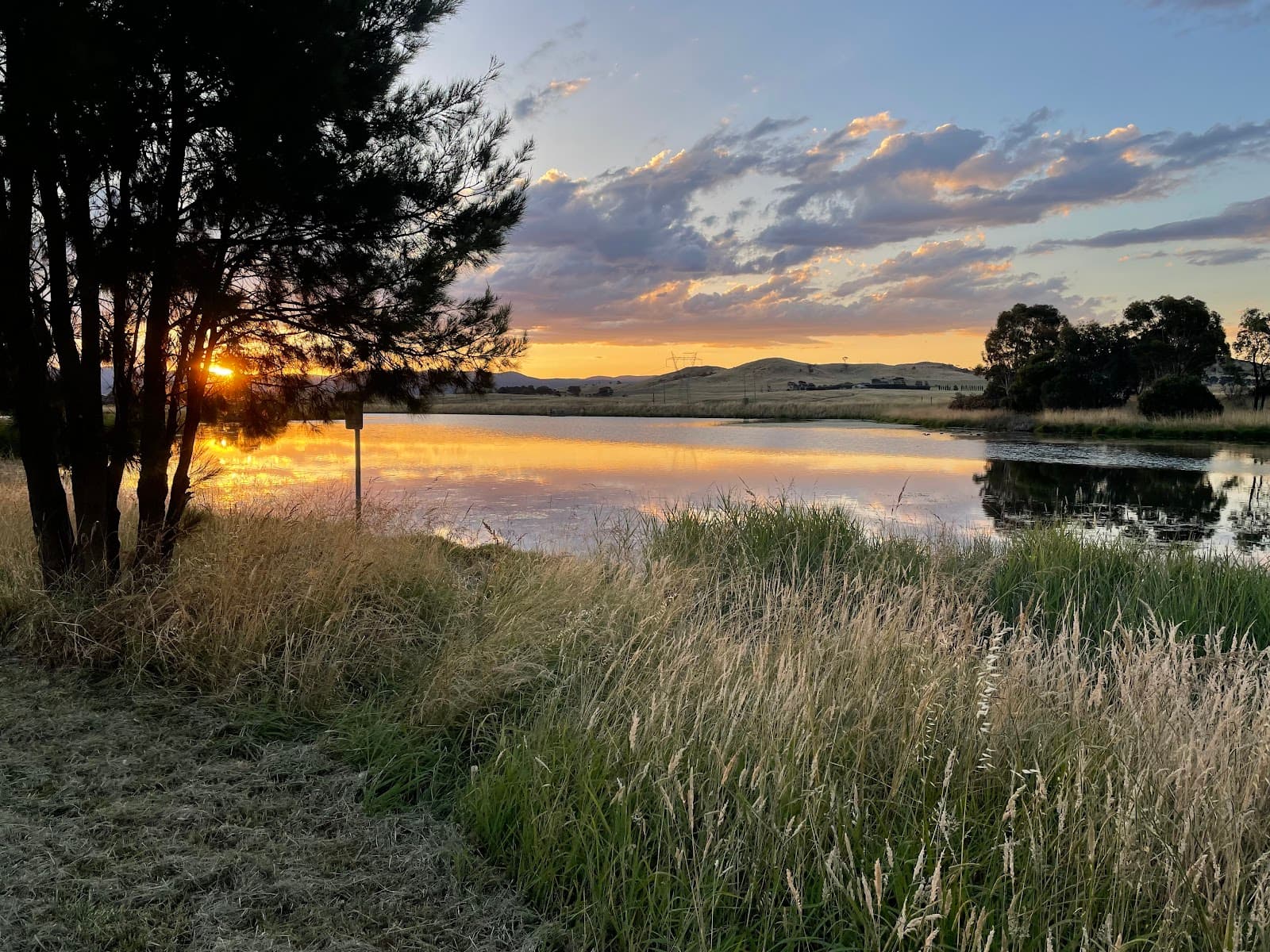 West Belconnen Pond — Belconnen, Canberra