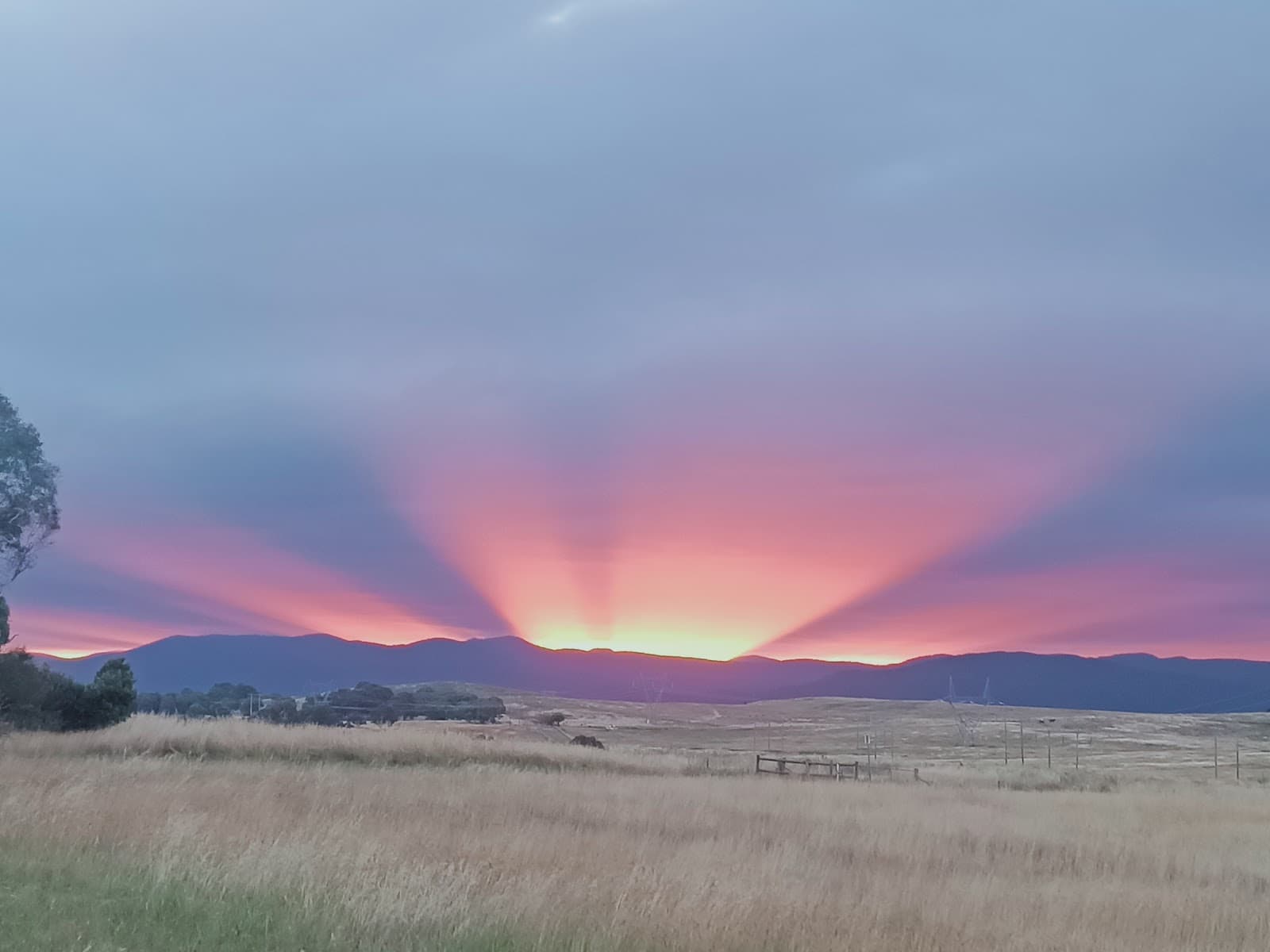 West Belconnen Pond — Belconnen, Canberra