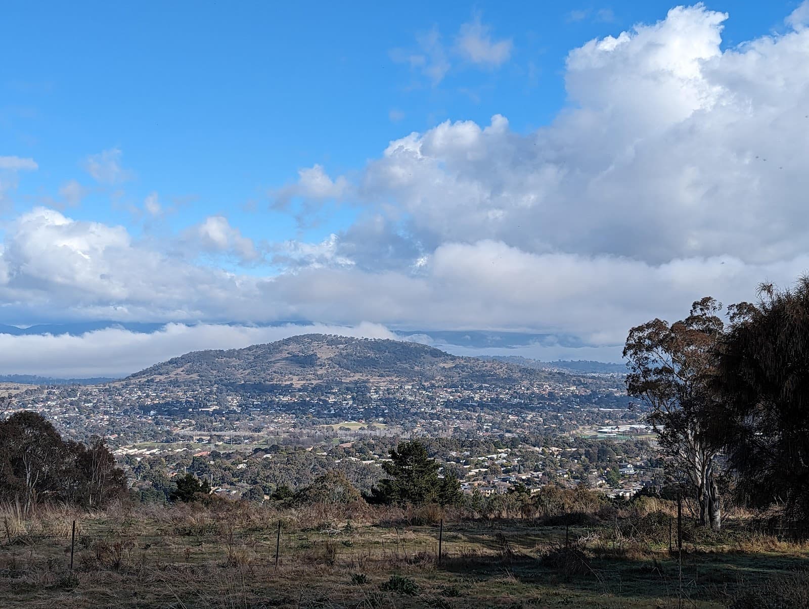 Isaacs Ridge Nature Reserve — Woden, Canberra
