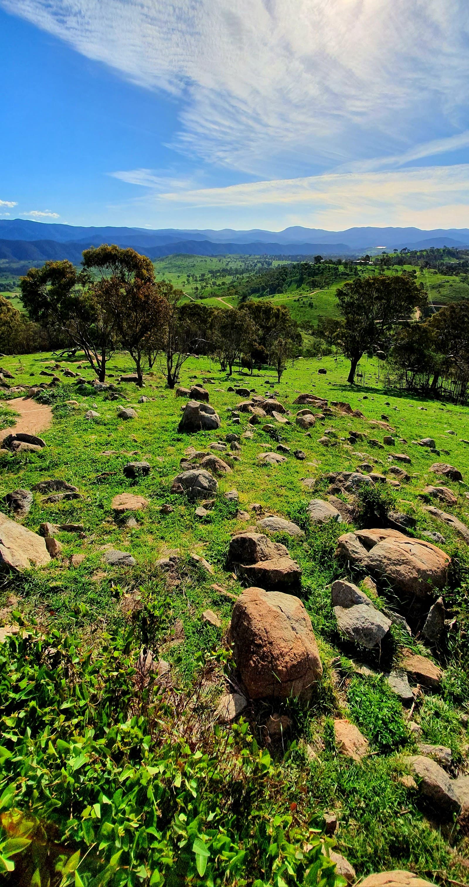 Cooleman Ridge Nature Track — Tuggeranong, Canberra