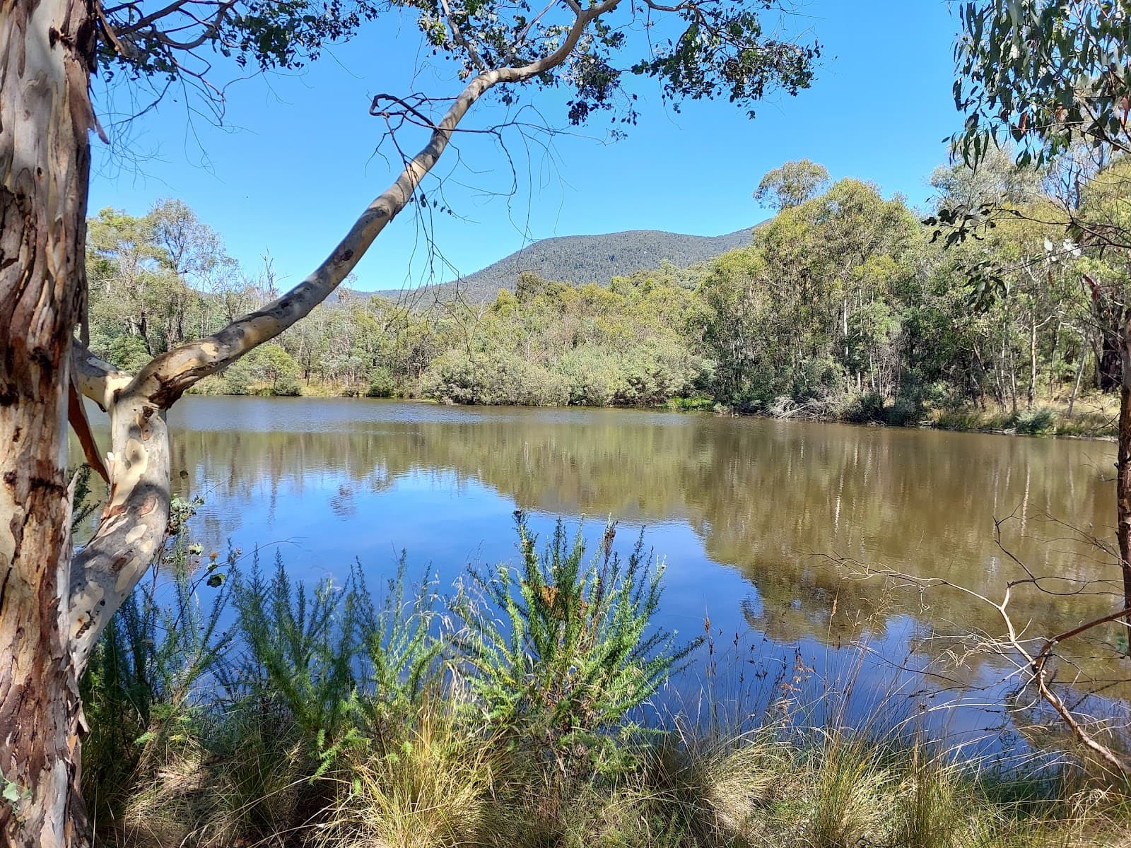Tidbinbilla Nature Reserve — Fyshwick, Canberra