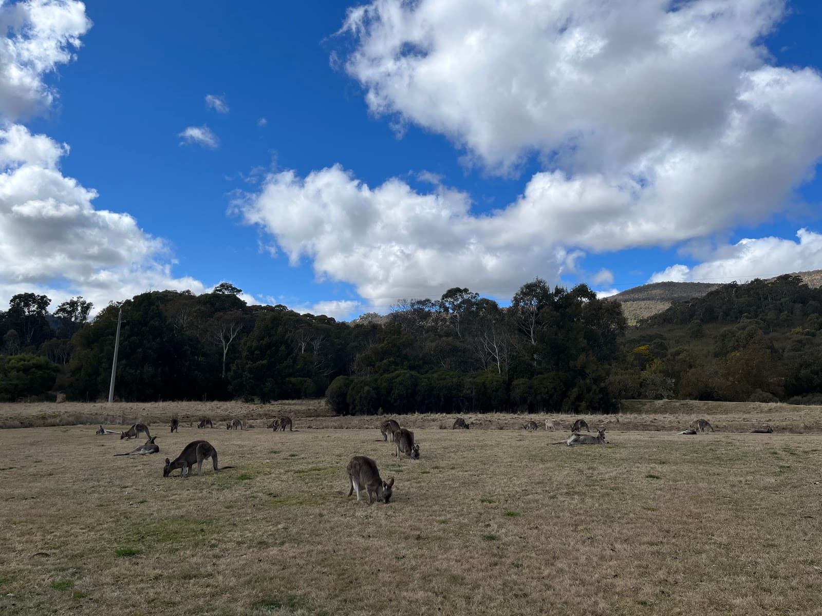 Tidbinbilla Nature Reserve — Fyshwick, Canberra