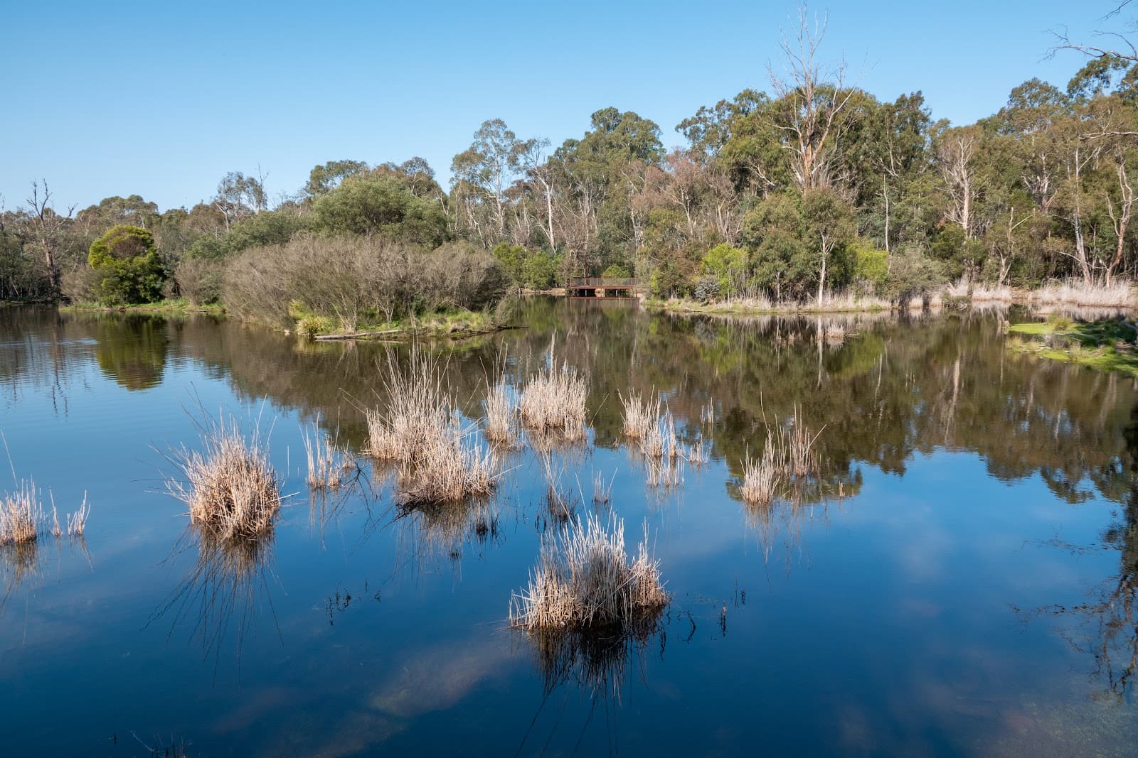 Tidbinbilla Sanctuary — Fyshwick, Canberra