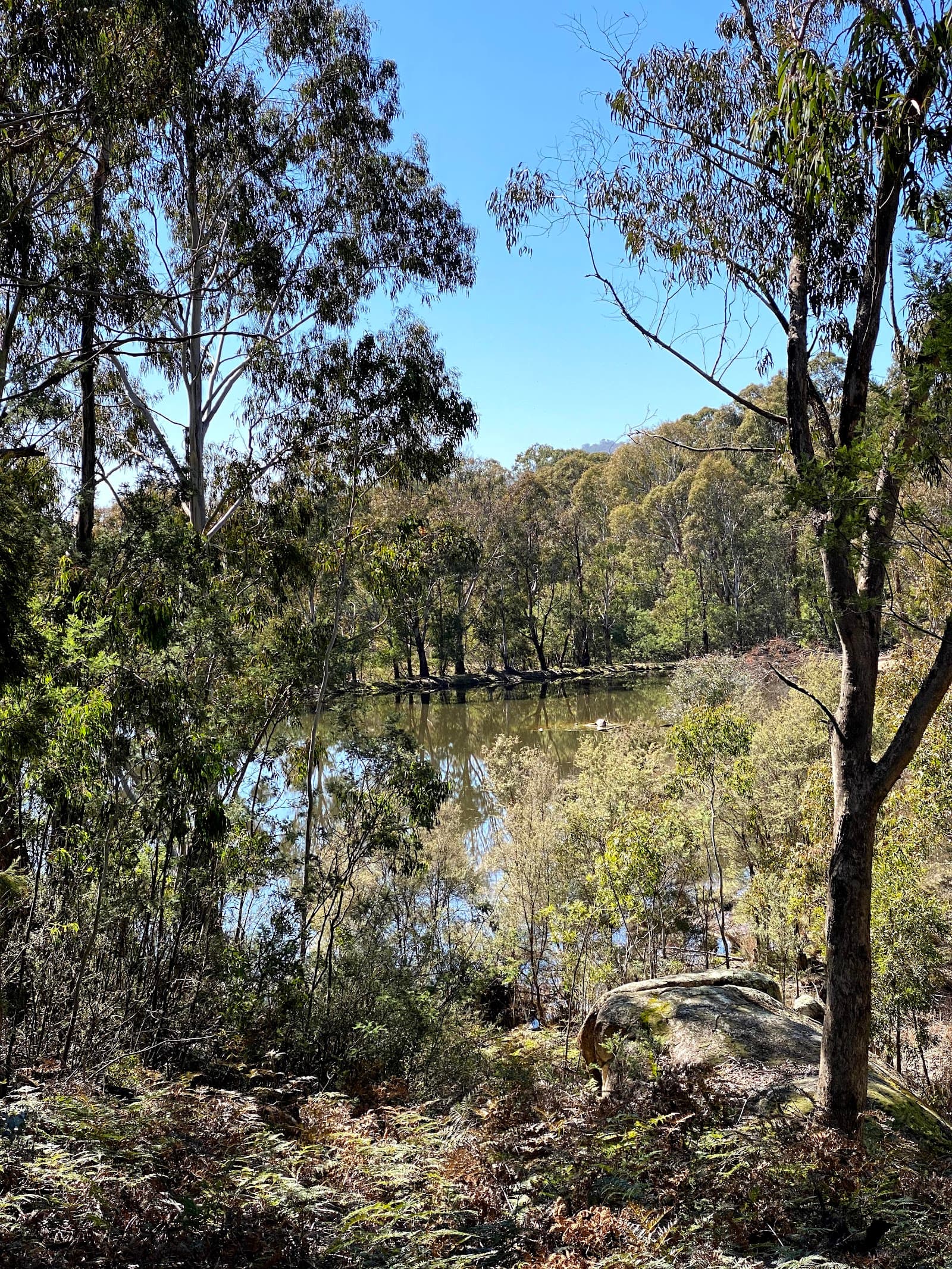 Tidbinbilla Sanctuary — Fyshwick, Canberra