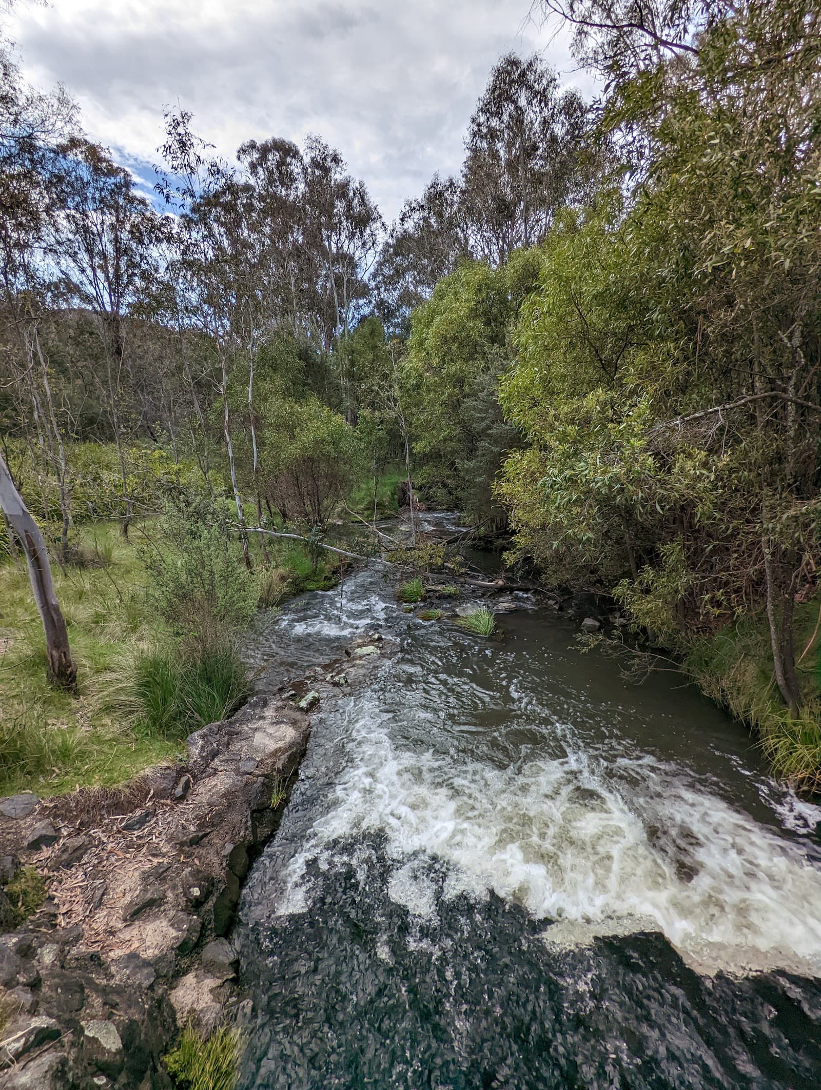 Tidbinbilla Sanctuary — Fyshwick, Canberra