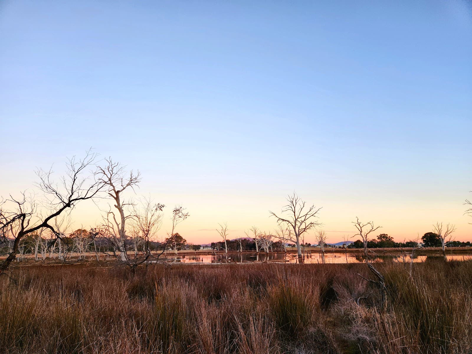 Echidna Gate — Fyshwick, Canberra
