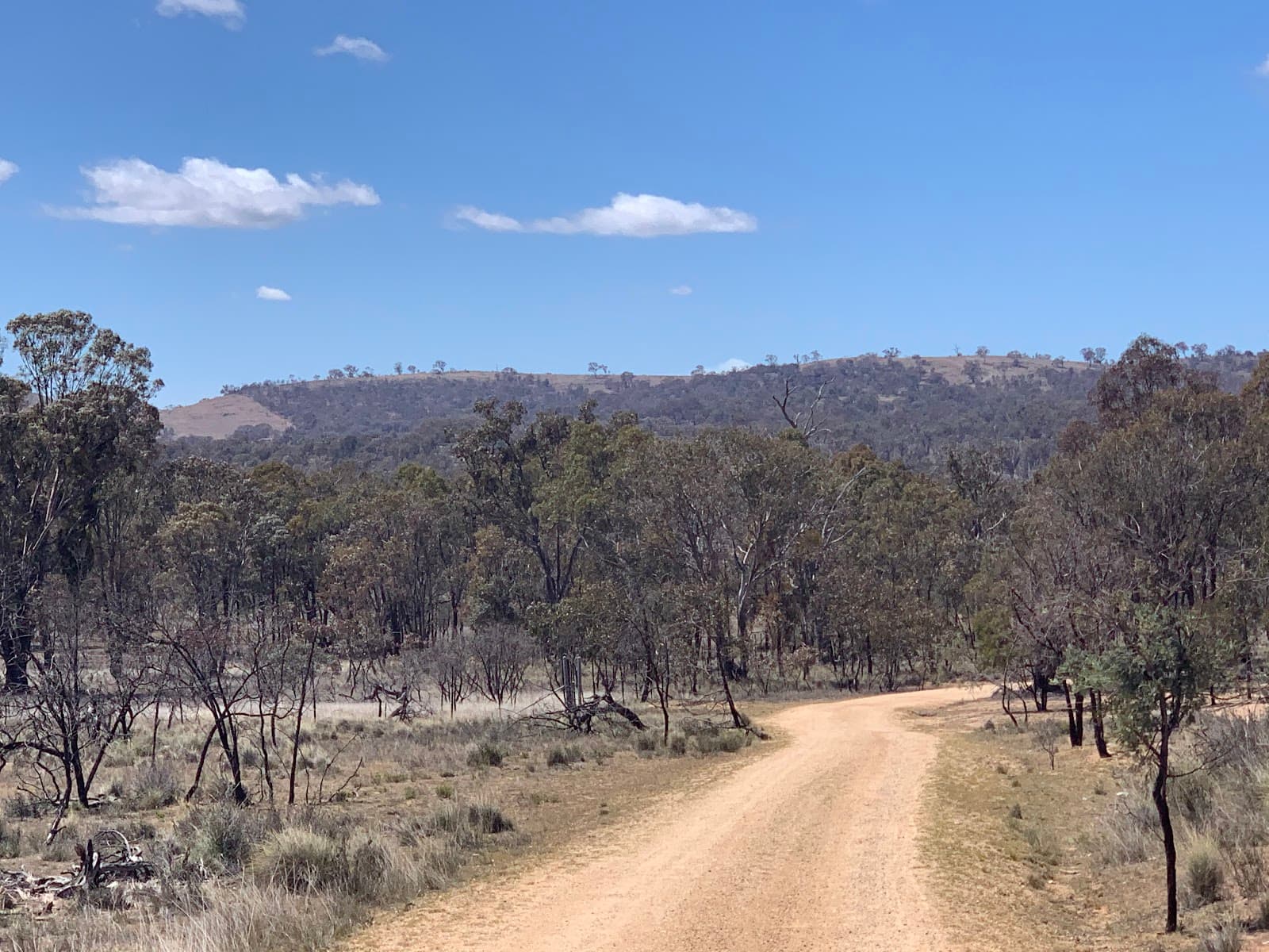 Pedestrian entry to Mulligans Flat — Gungahlin, Canberra