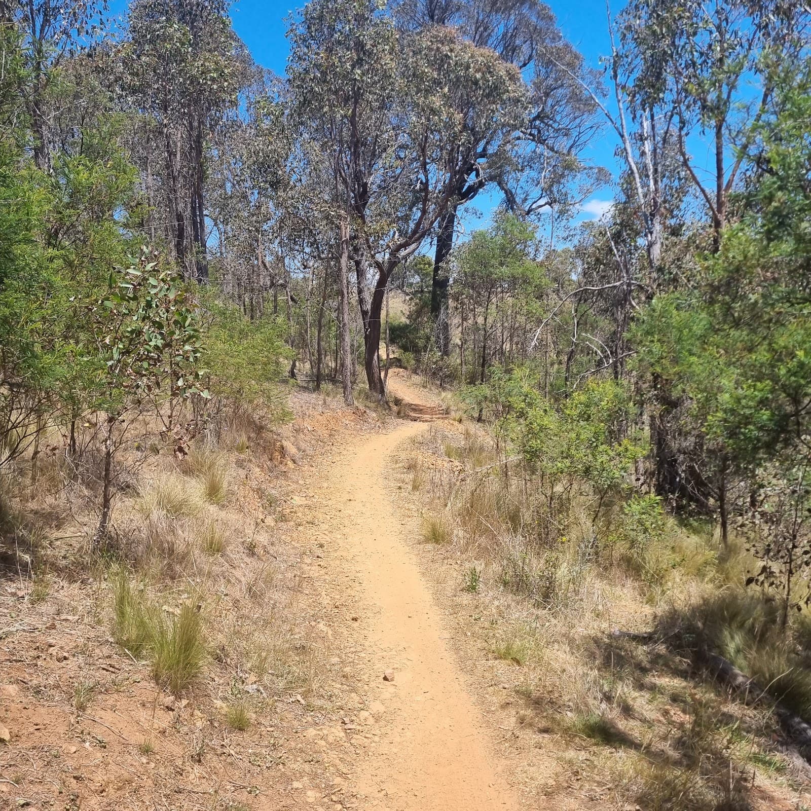 Trail head for walk to Northern Border Campground — Gungahlin, Canberra