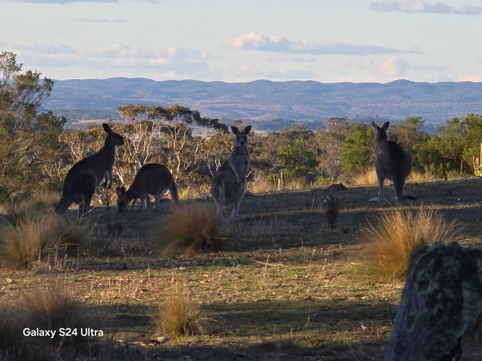Trail head for walk to Northern Border Campground — Gungahlin, Canberra