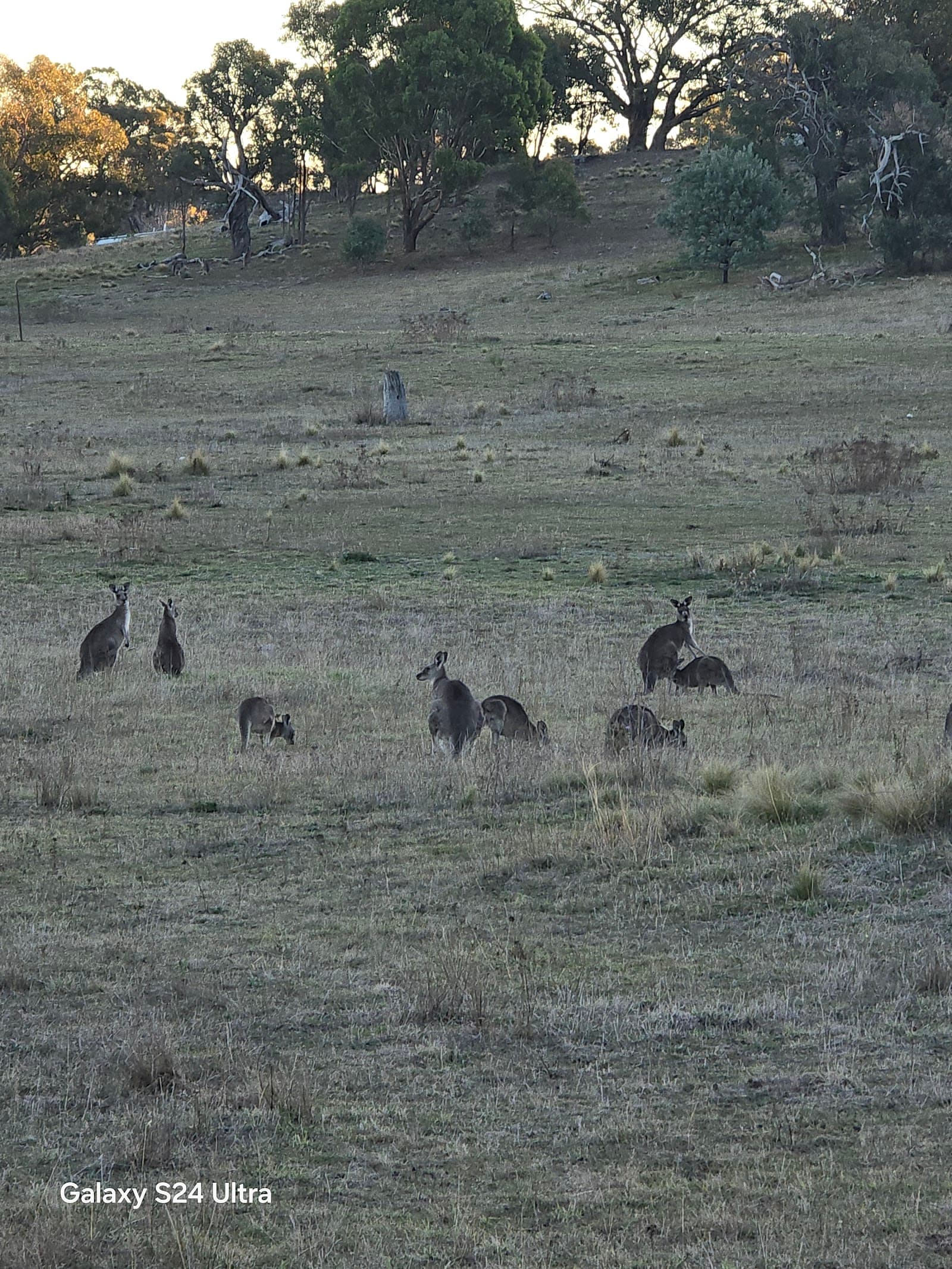 Trail head for walk to Northern Border Campground — Gungahlin, Canberra